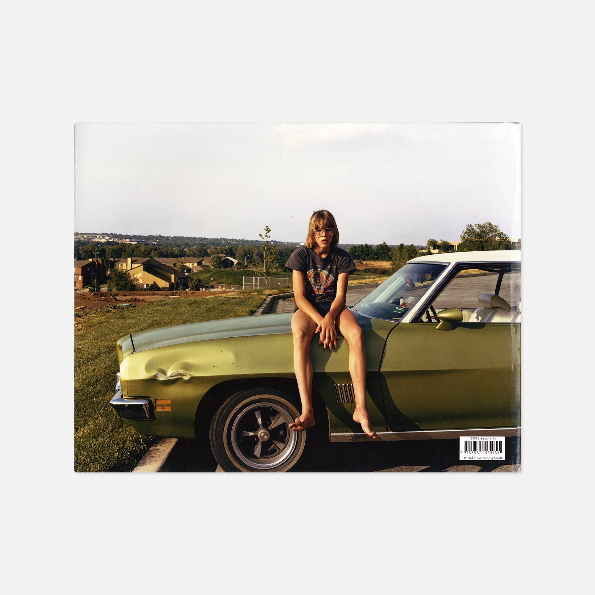 Joel Sternfeld — American Prospects