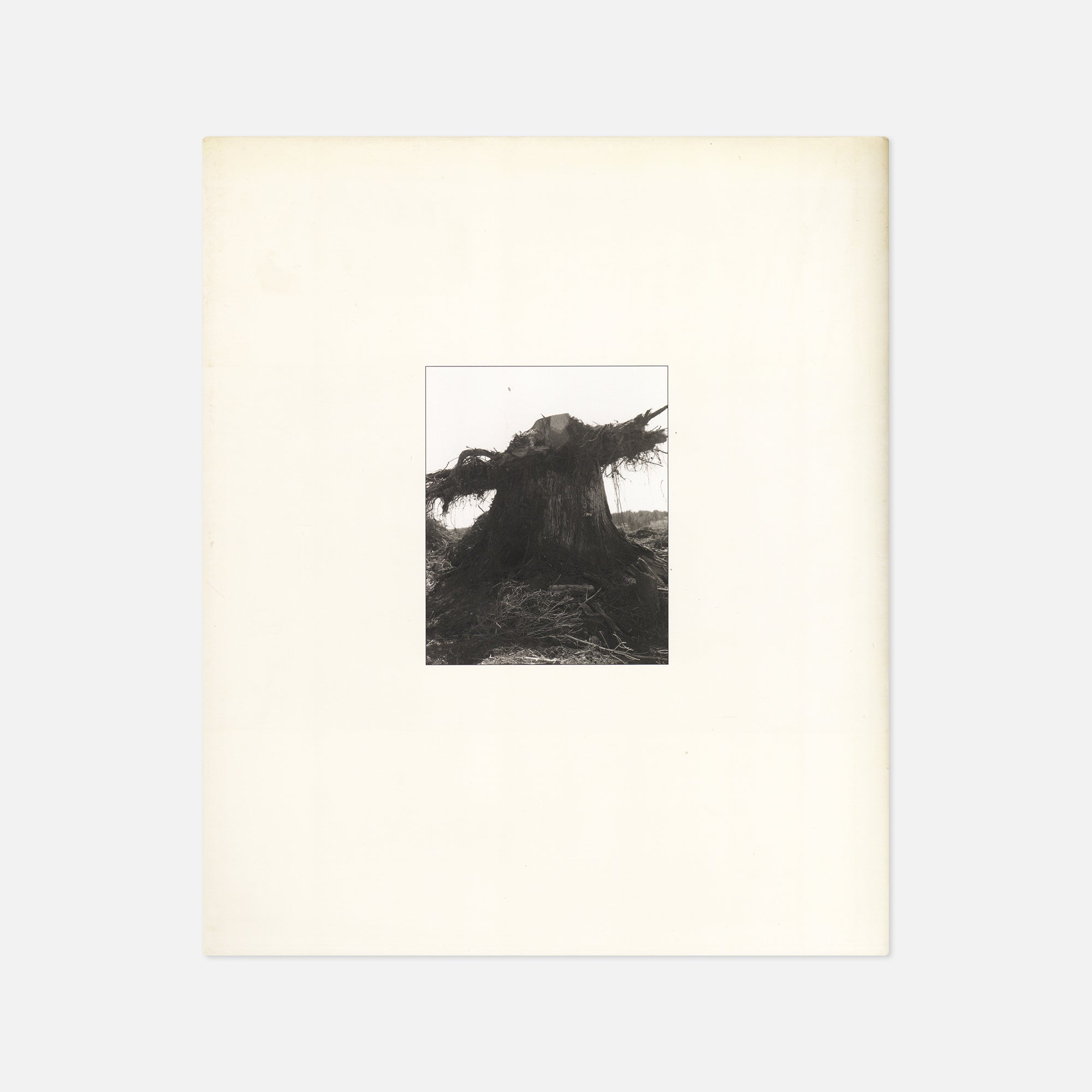 Robert Adams — Turning Back