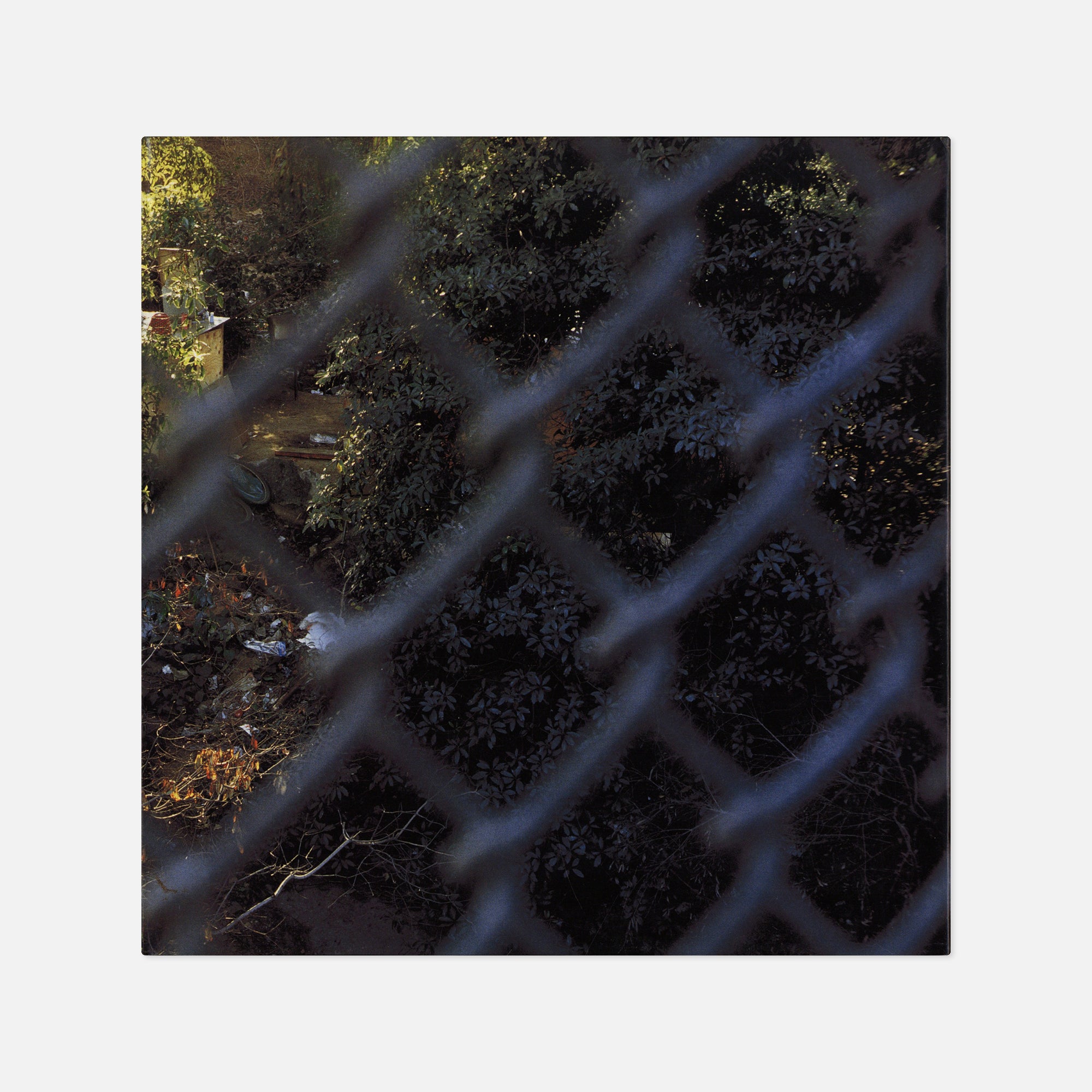 Anthony Hernandez — Sons of Adam: Landscapes for the Homeless II