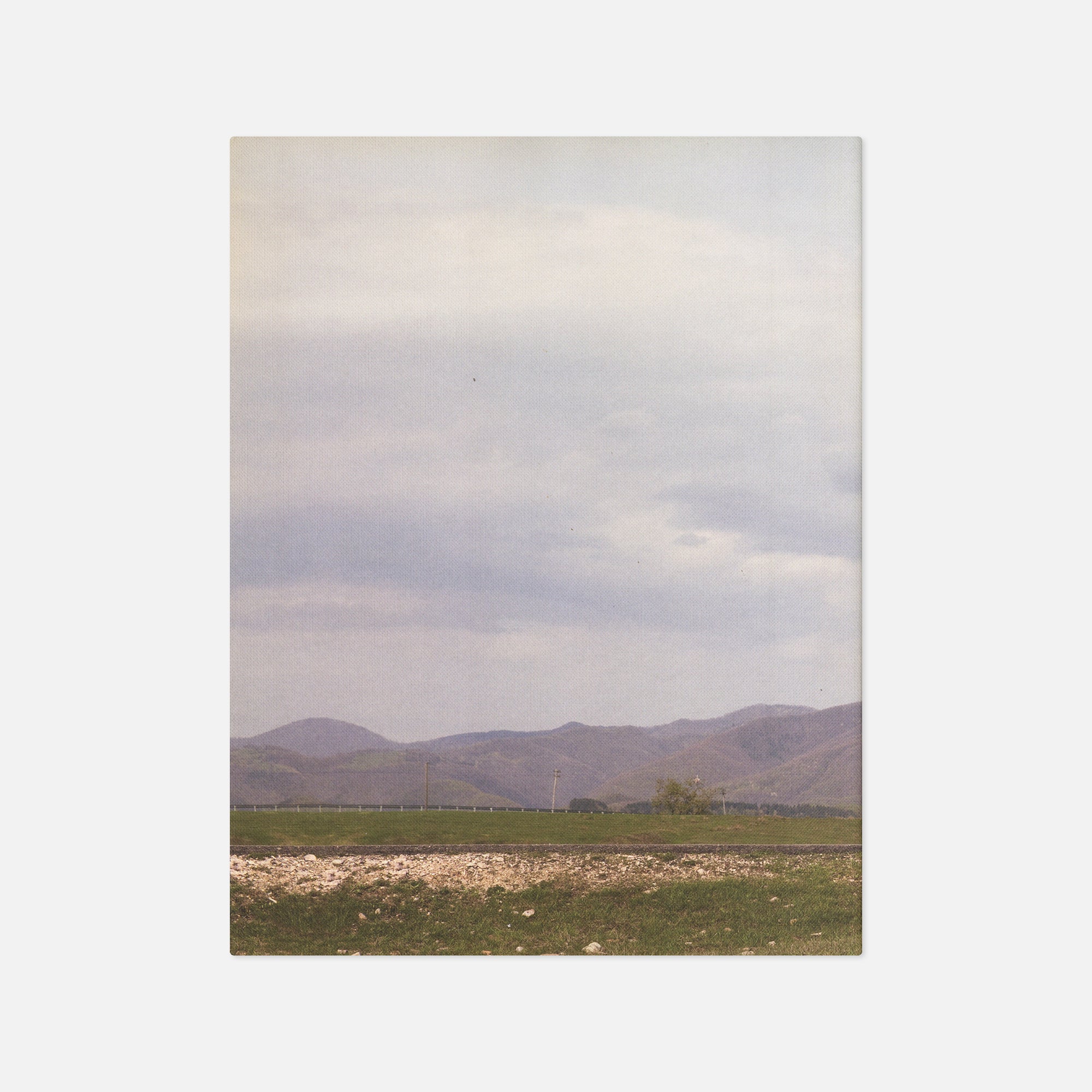 Sarah Carlier — Four Years, Three deaths, Sweaty Armpits and a Fetus