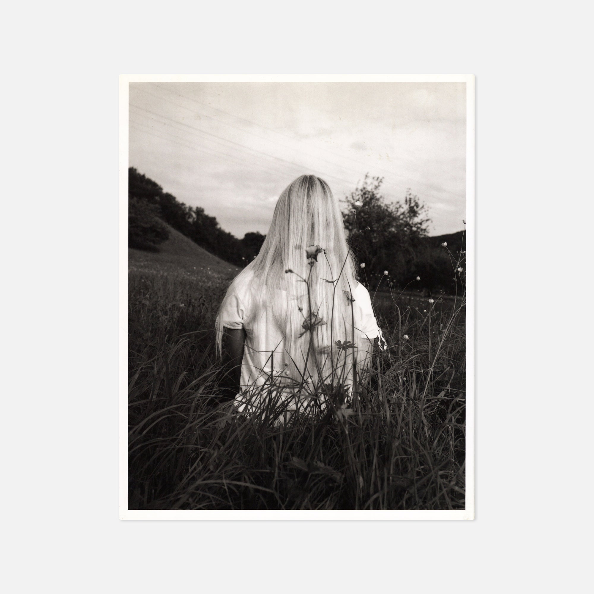 Collier Schorr — Neighbors / Nachbarn – Wolf Books