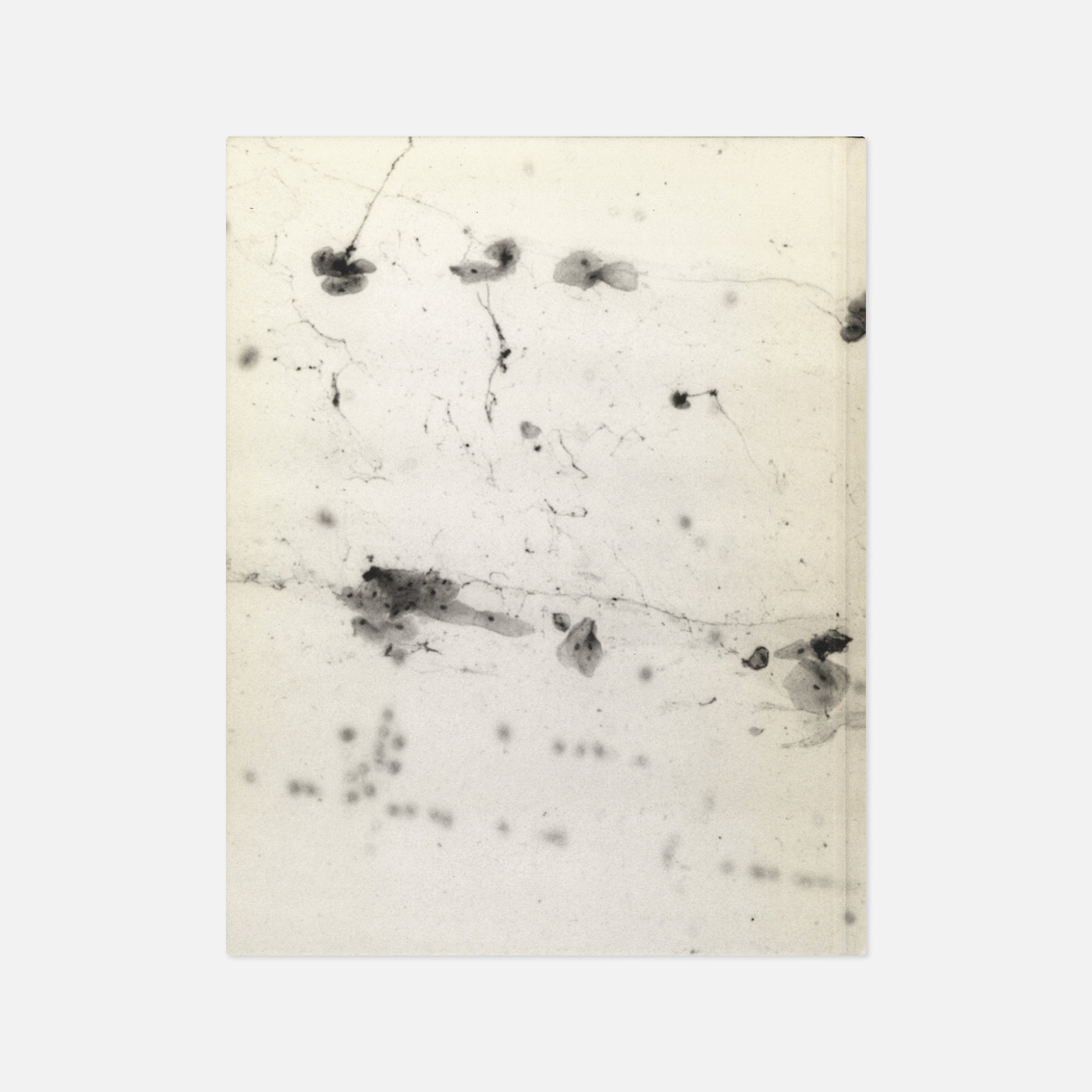 Aleix Plademunt — Almost There