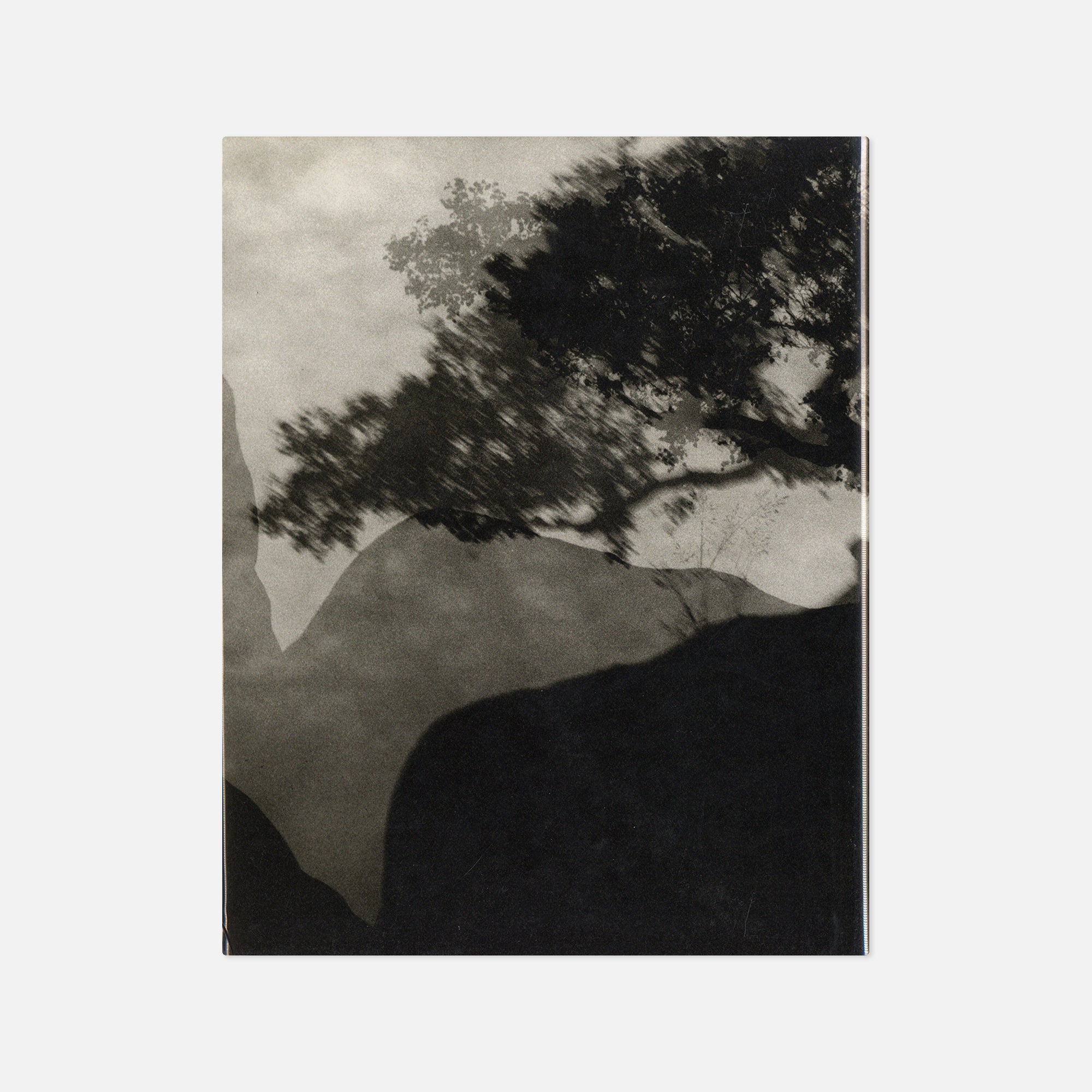 Machiel Botman — Rainchild