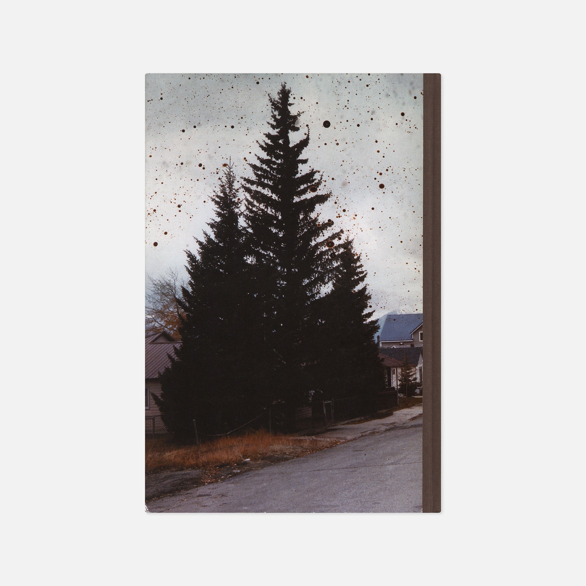 Taiyo Onorato & Nico Krebs — The Great Unreal