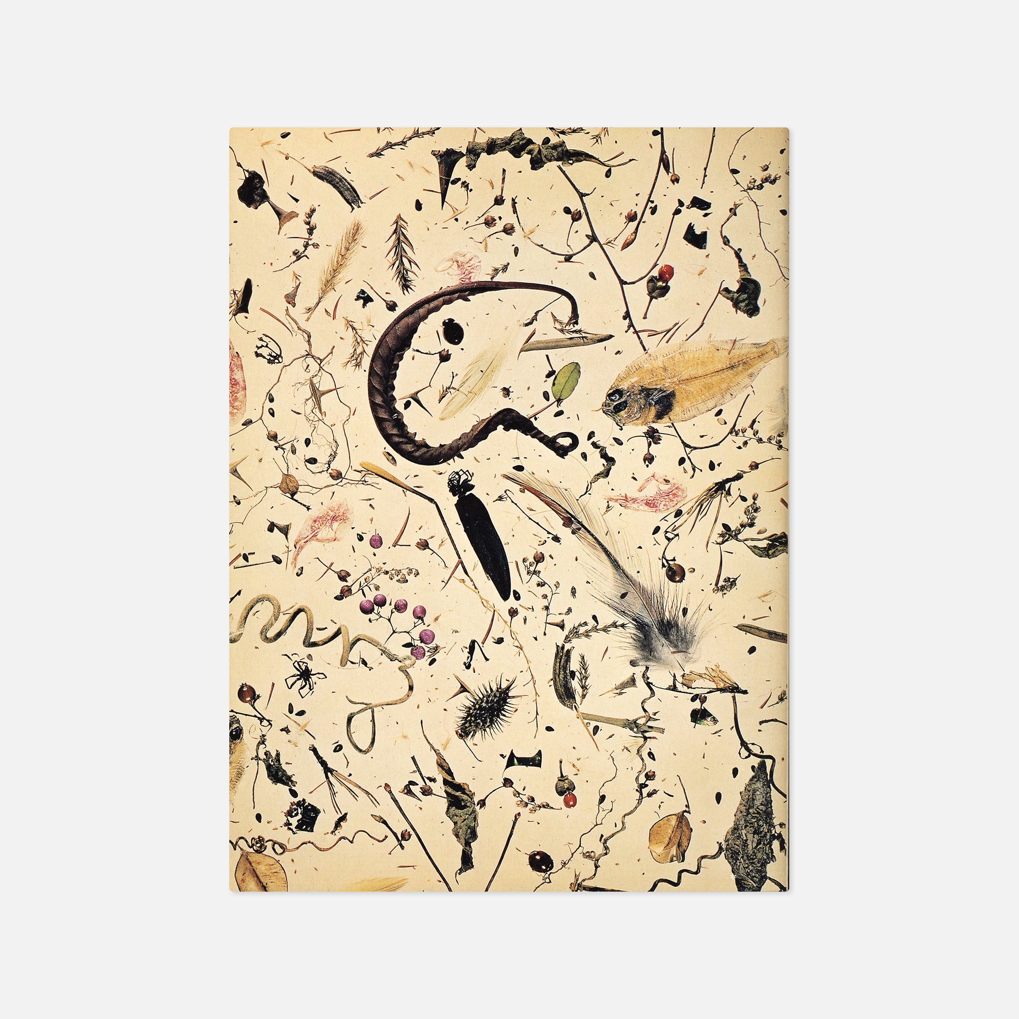 Shomei Tomatsu — Traces—50 years of Tomatsu's Works