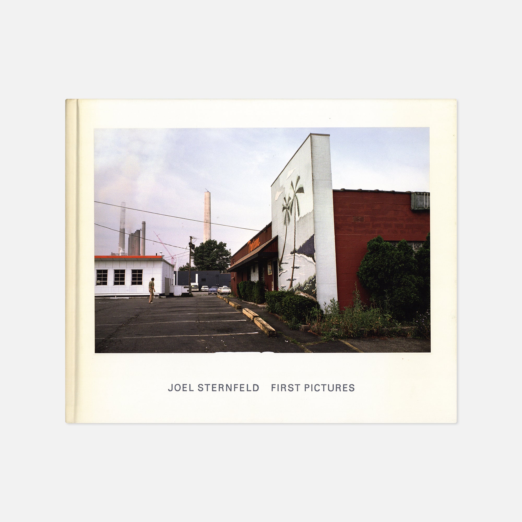 Joel Sternfeld — First Pictures