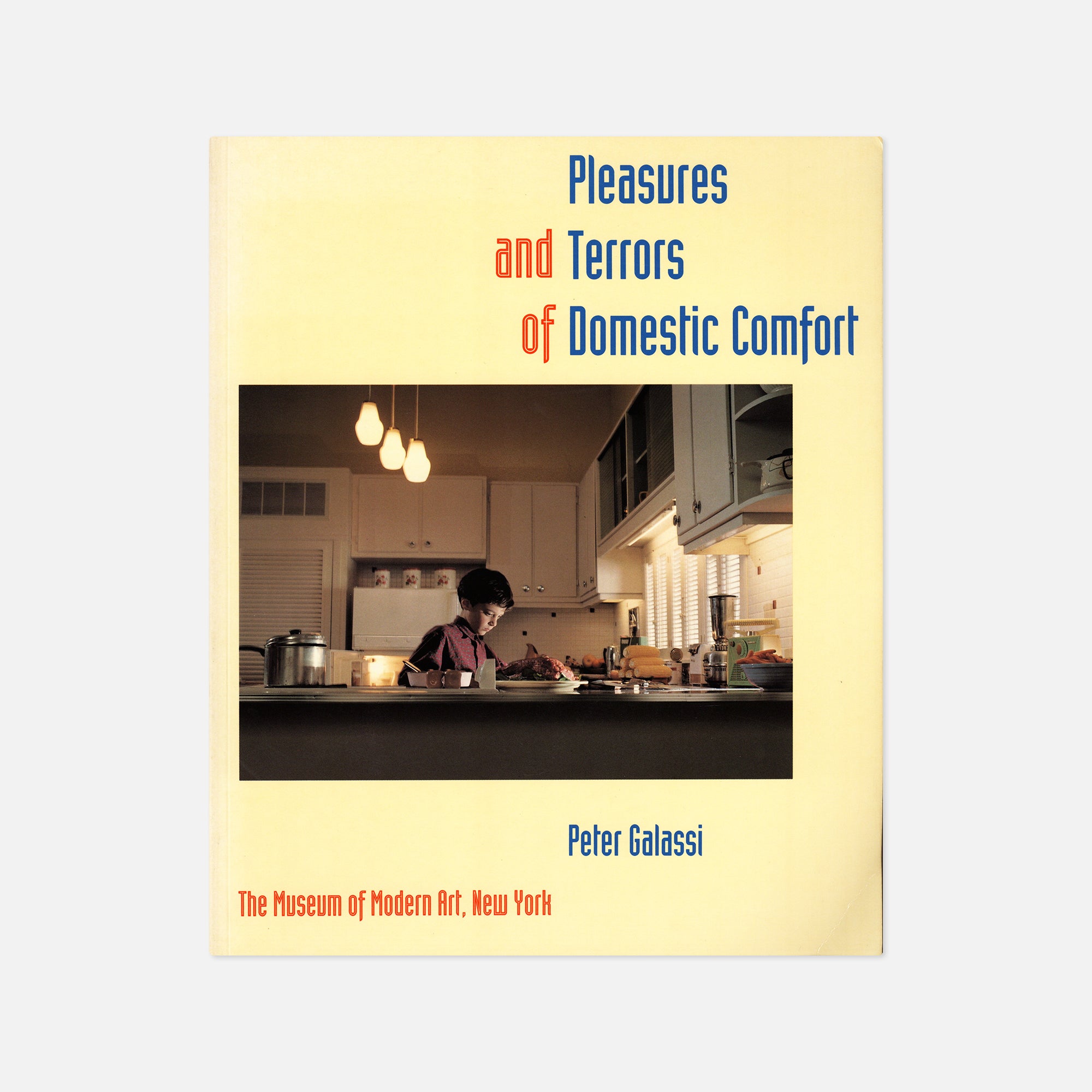 Peter Galassi — Pleasures and Terrors of Domestic Comfort