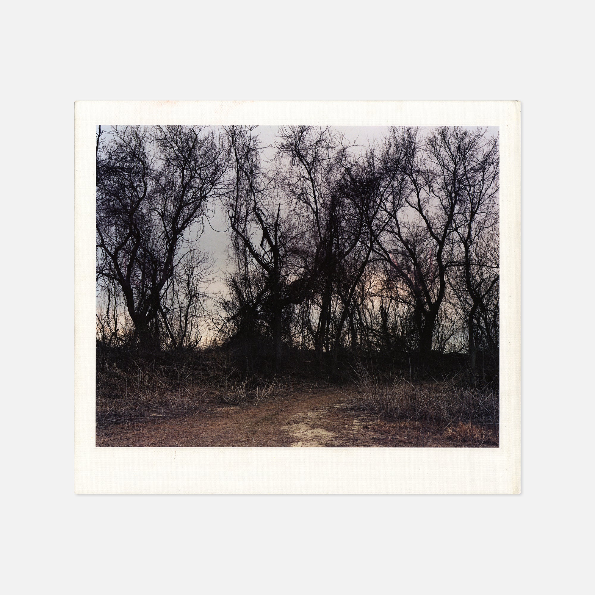 Joel Sternfeld — Oxbow Archive