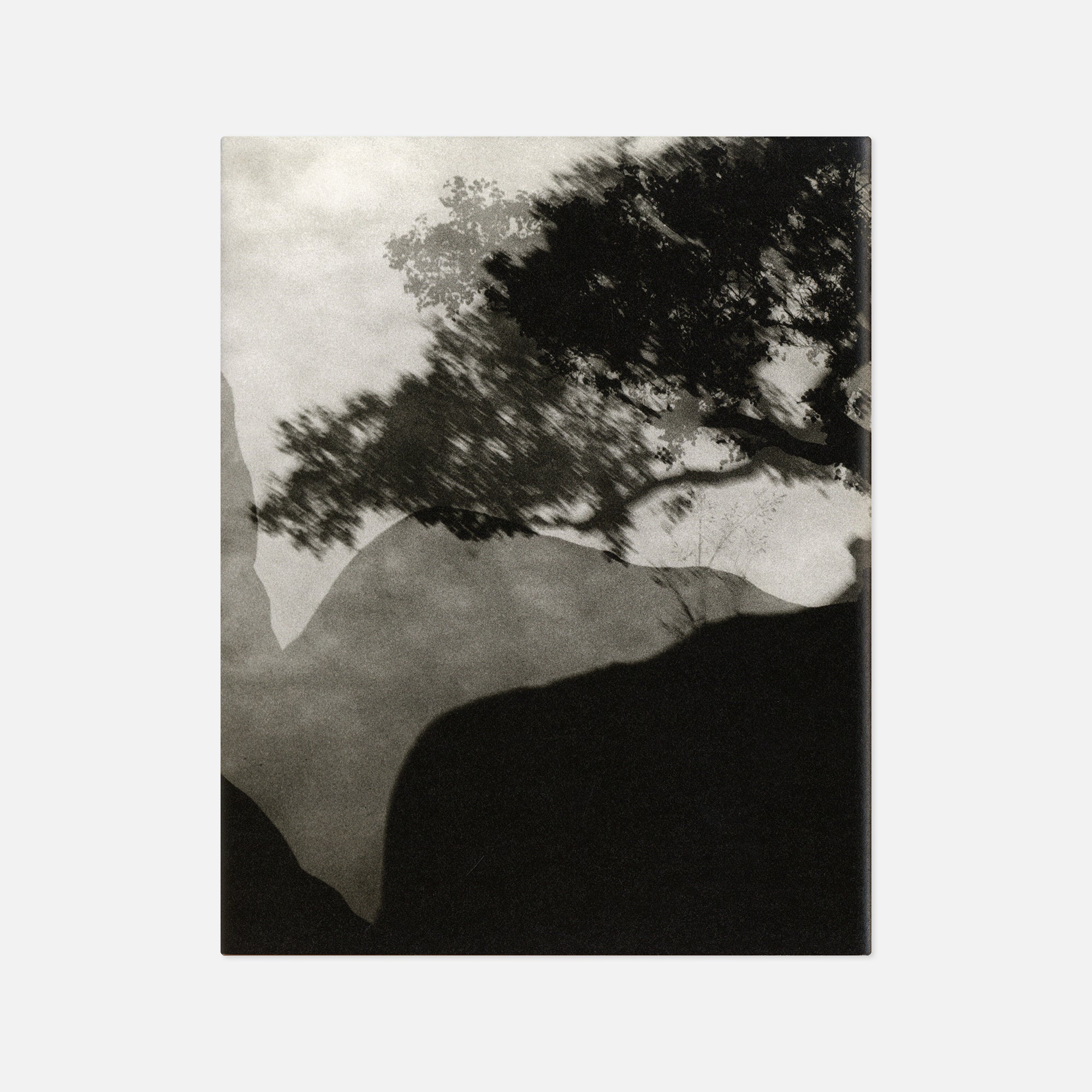 Machiel Botman — Rainchild