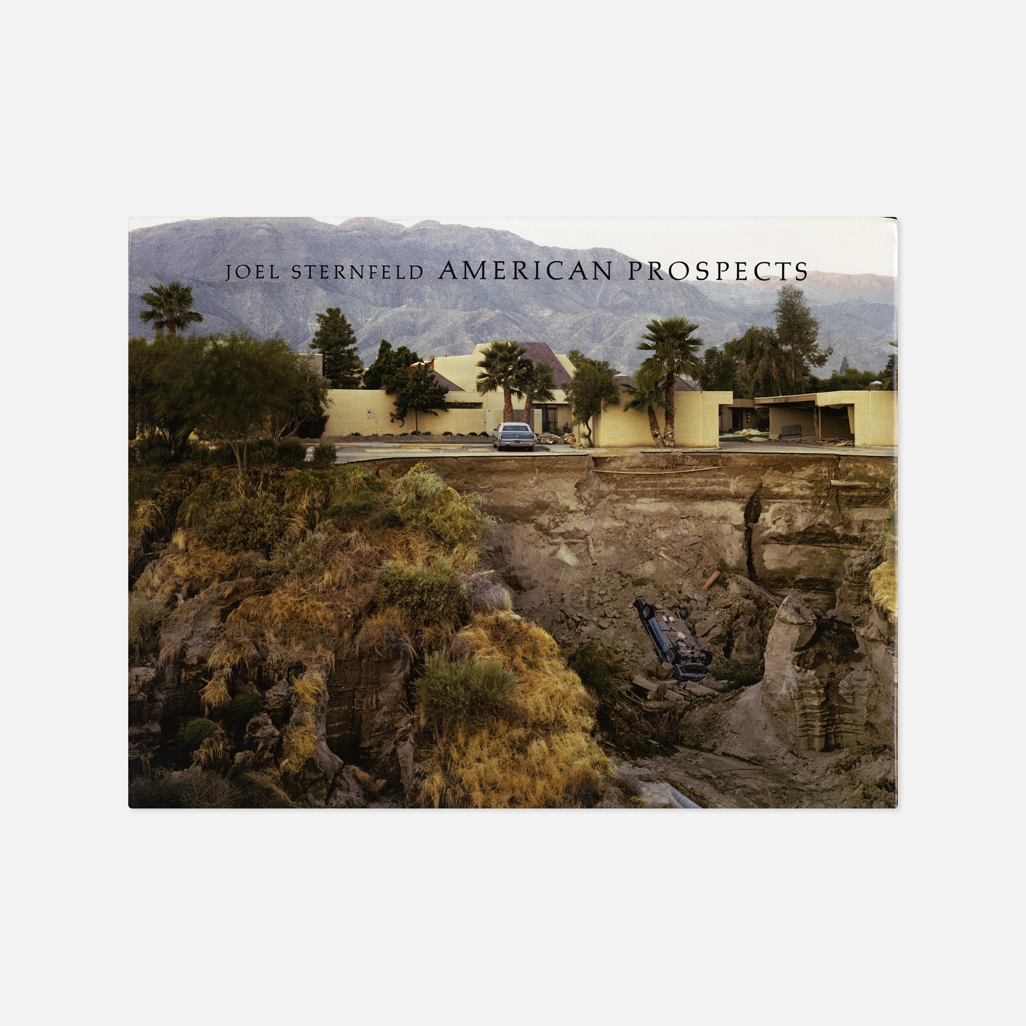 Joel Sternfeld — American Prospects