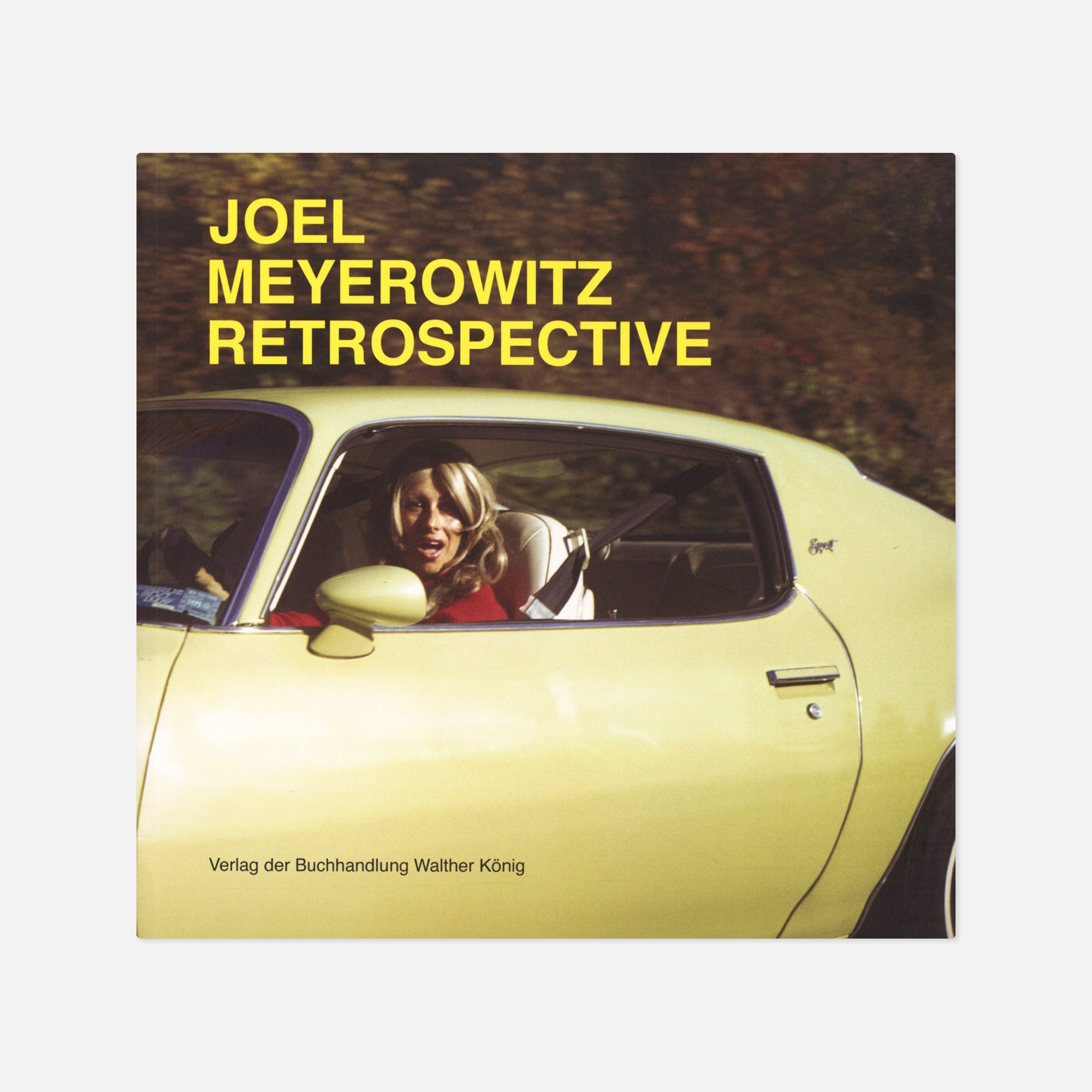 Joel Meyerowitz — Retrospective