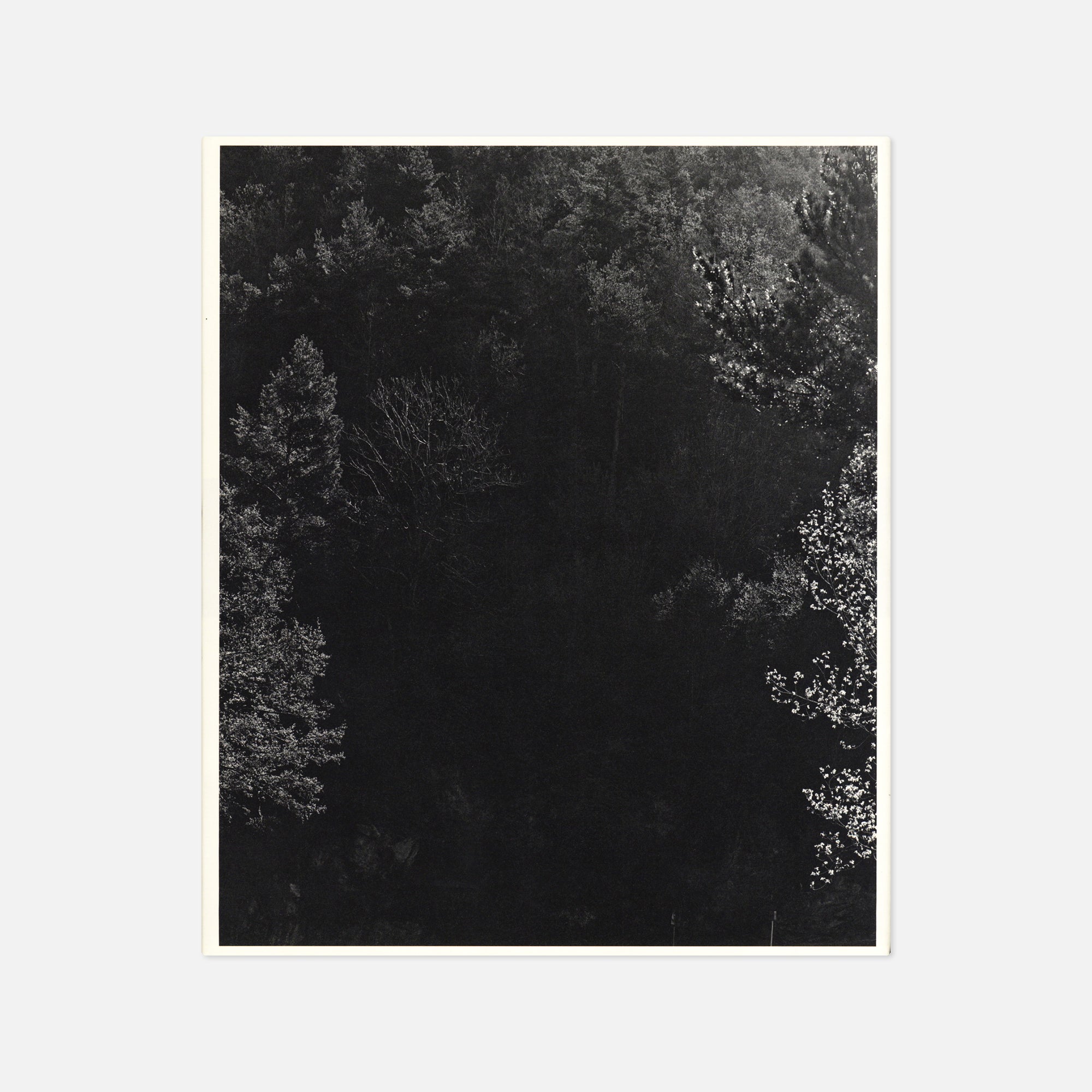 Awoiska van der Molen — Sequester