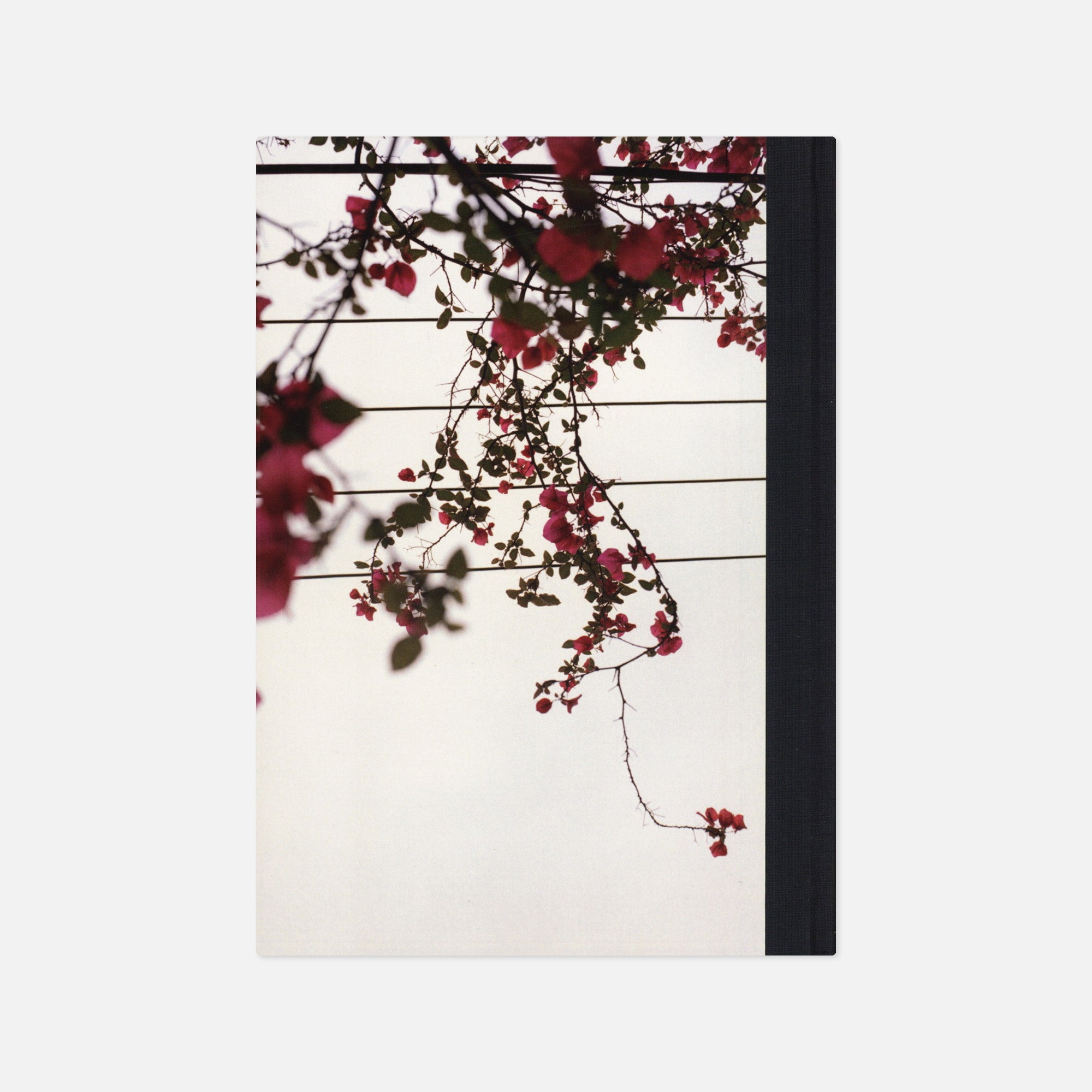 Marco van Duyvendijk — Het Lente-eiland