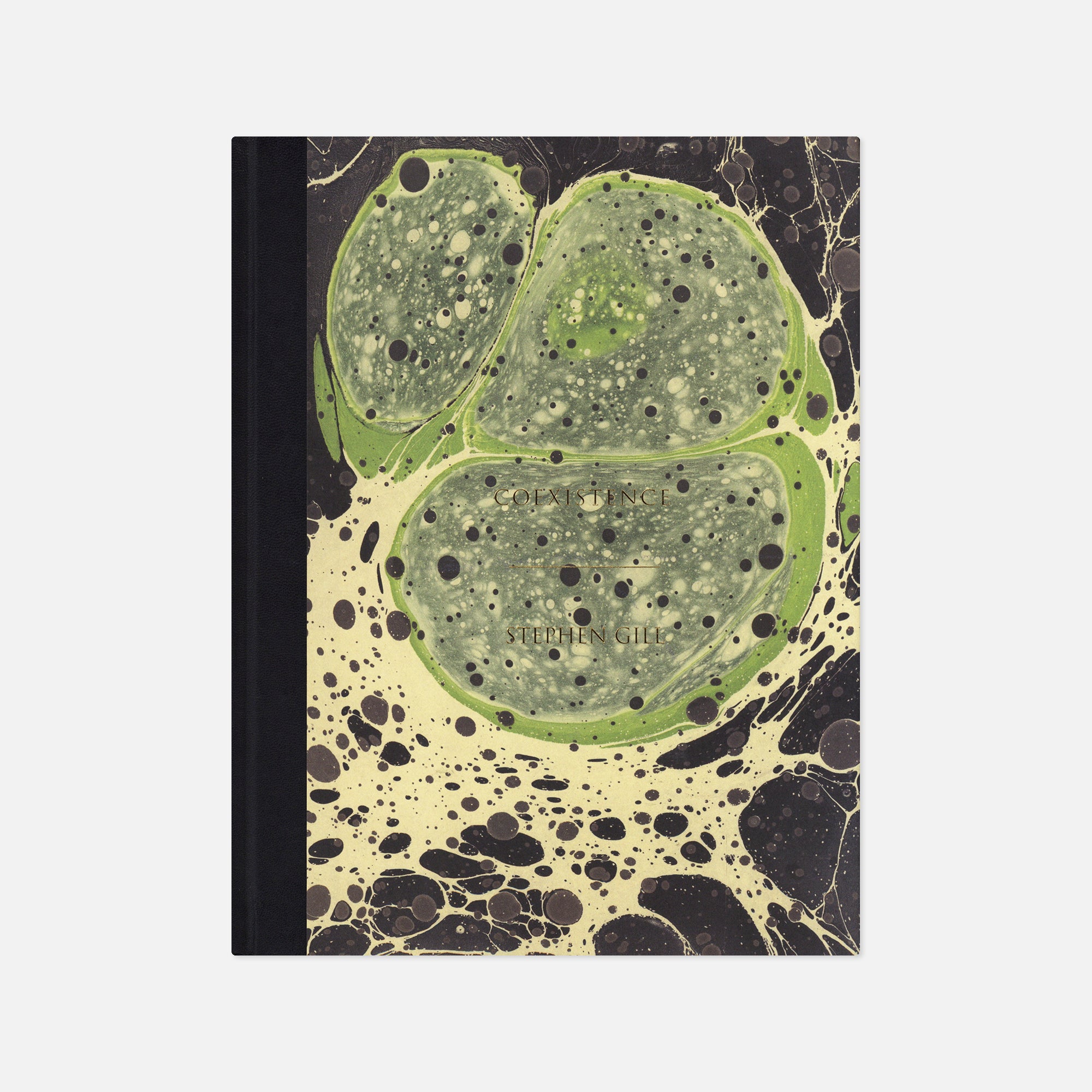 Stephen Gill — Coexistence