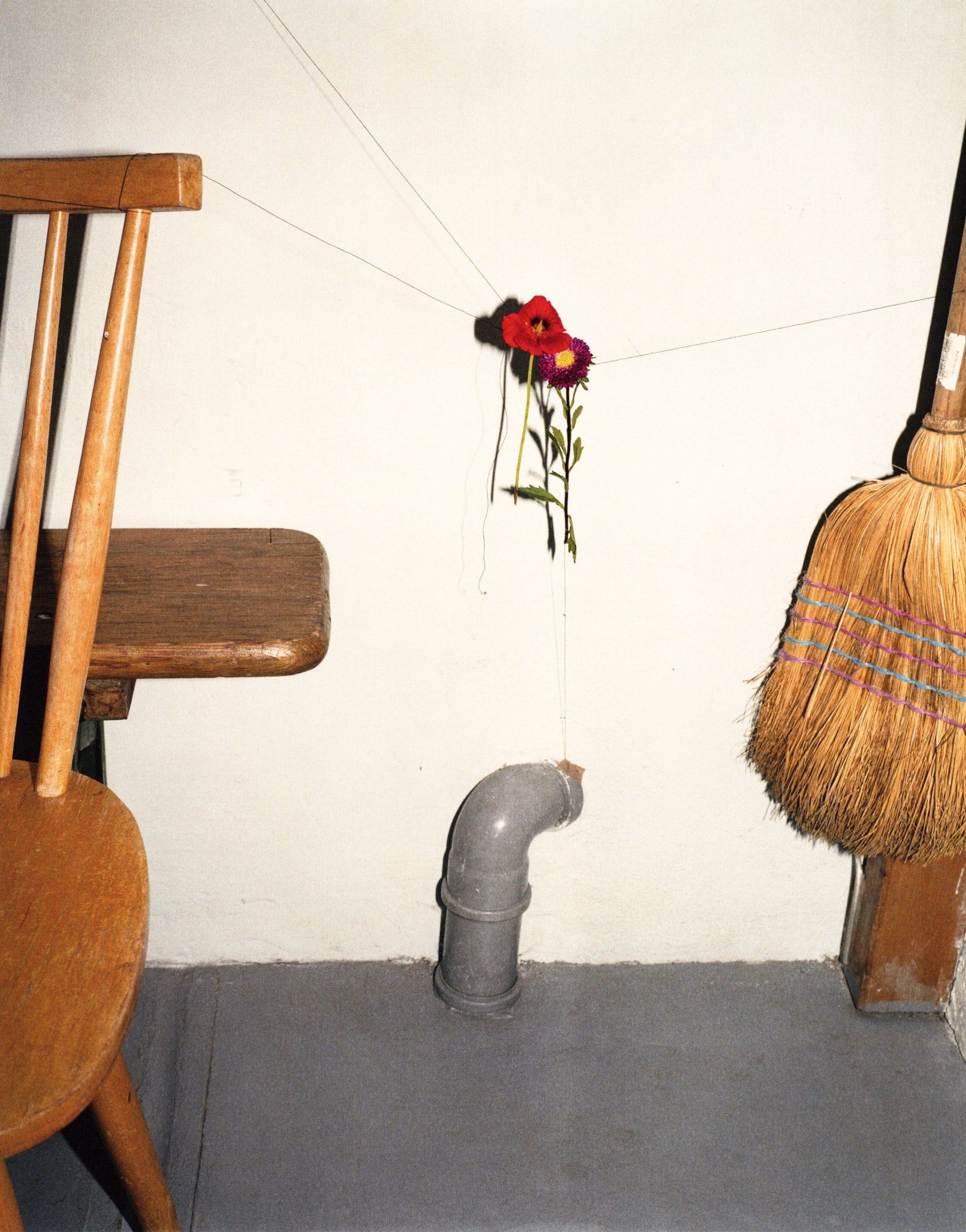 Collier Schorr — Blumen