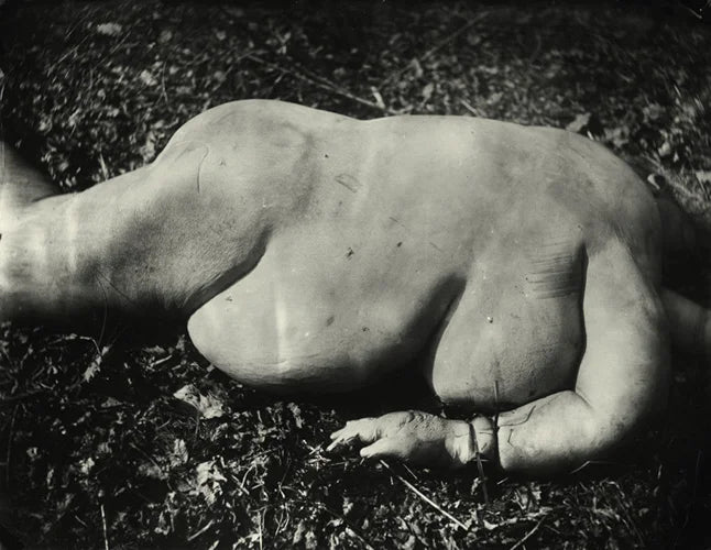 Sally Mann — What Remains