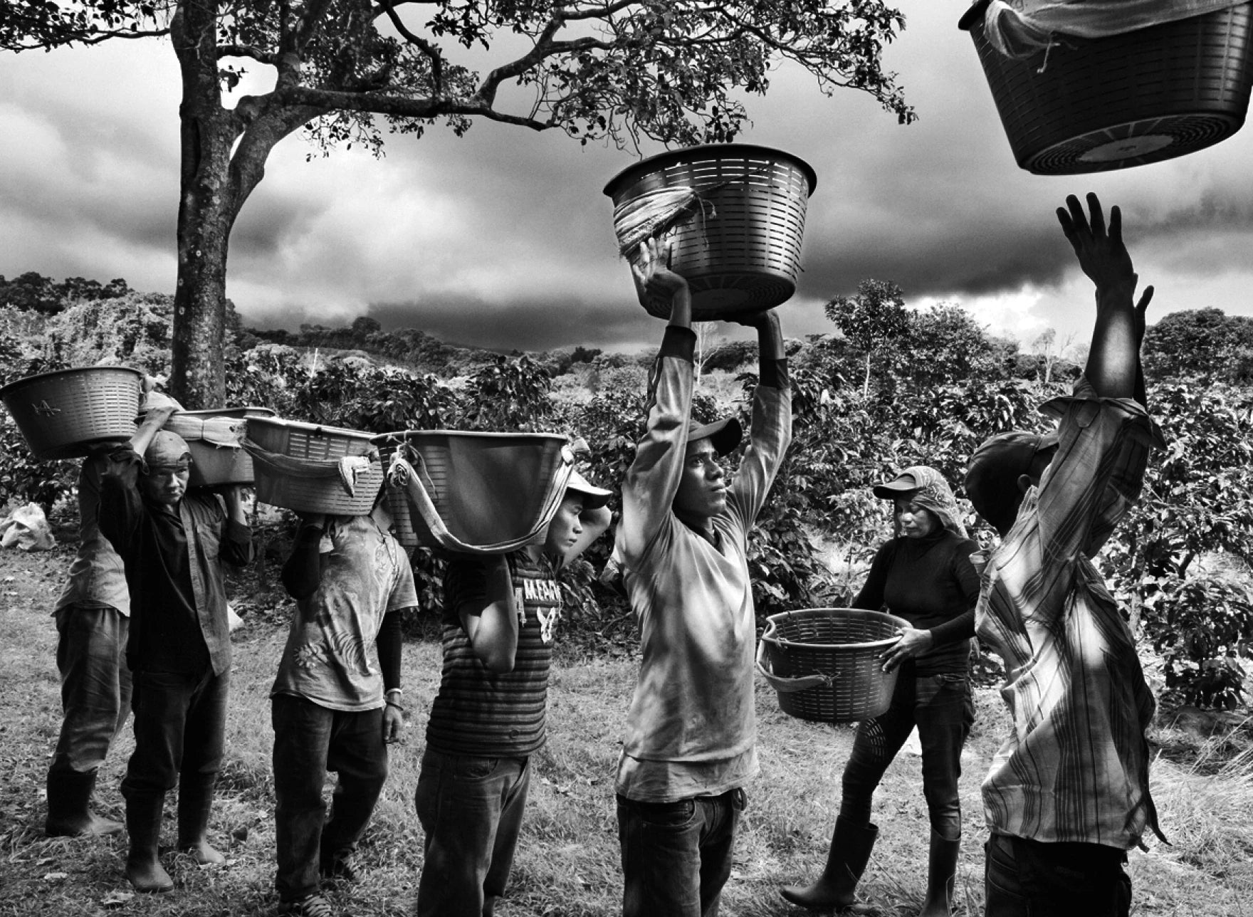 Sebastião Salgado — The Scent of a Dream