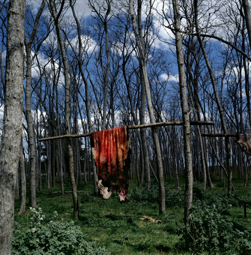 Alessandra Sanguinetti — On The Sixth Day