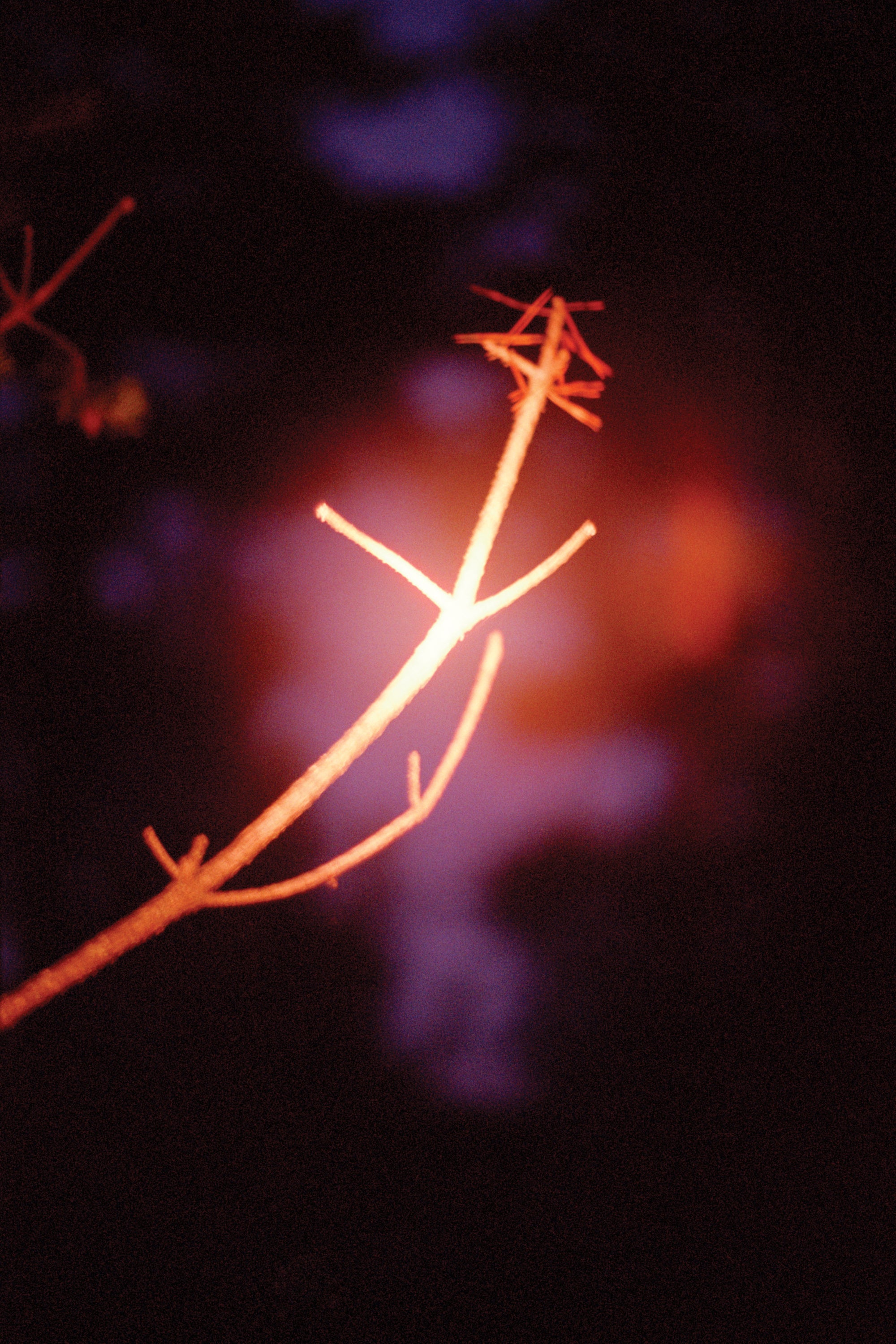 Coley Brown — A Recurring Dream