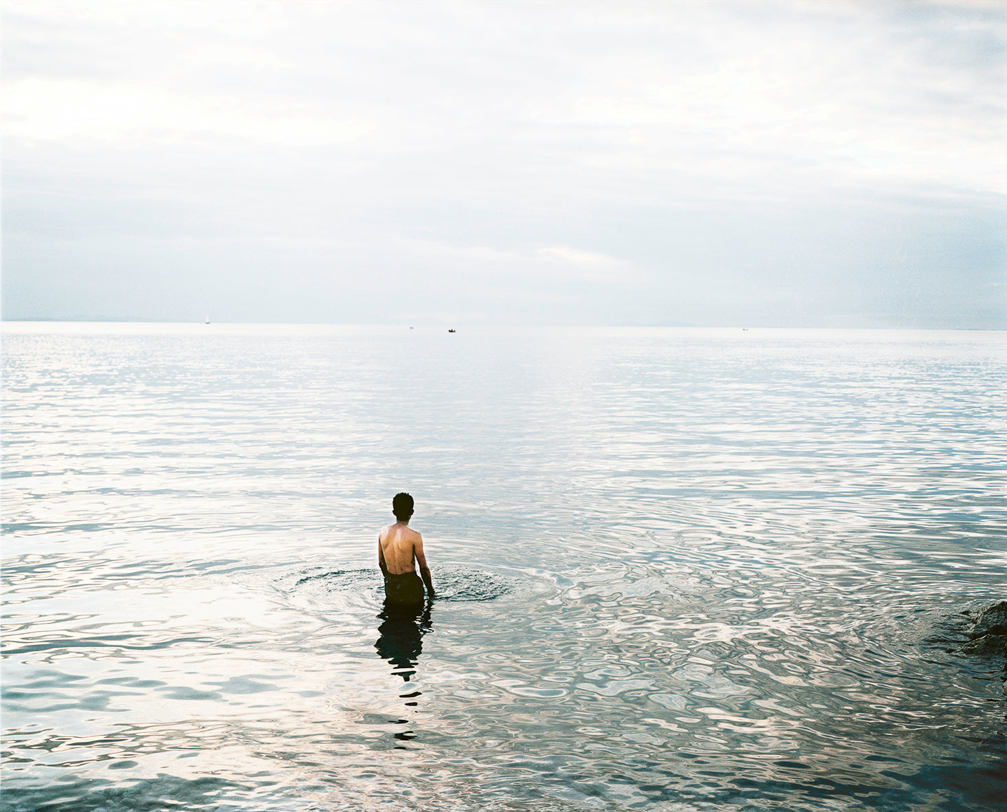 Henk Wildschut — Shelter