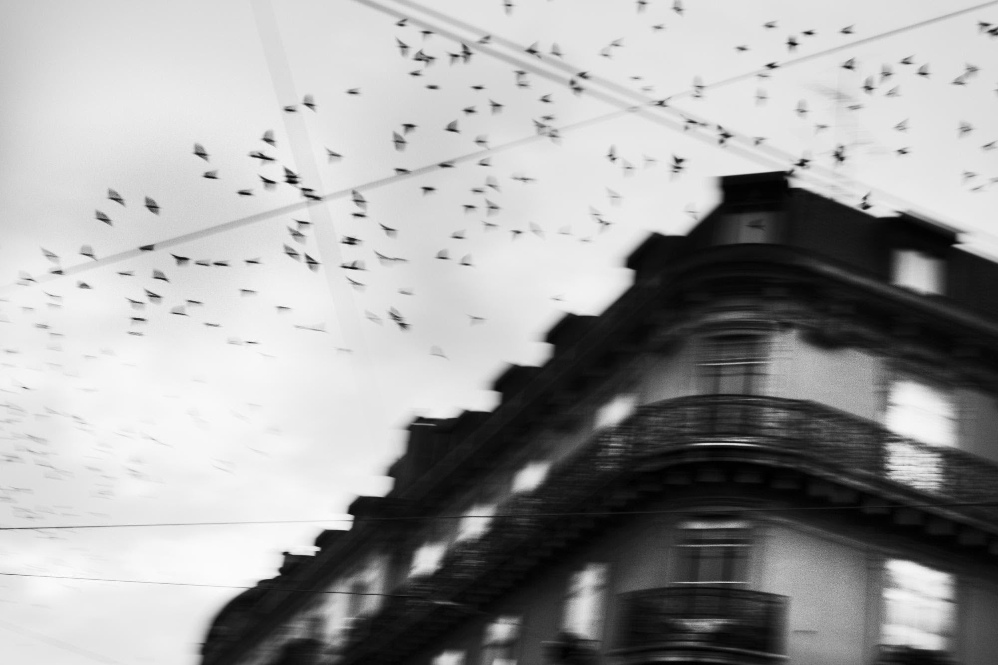 Alison McCauley — Anywhere but here