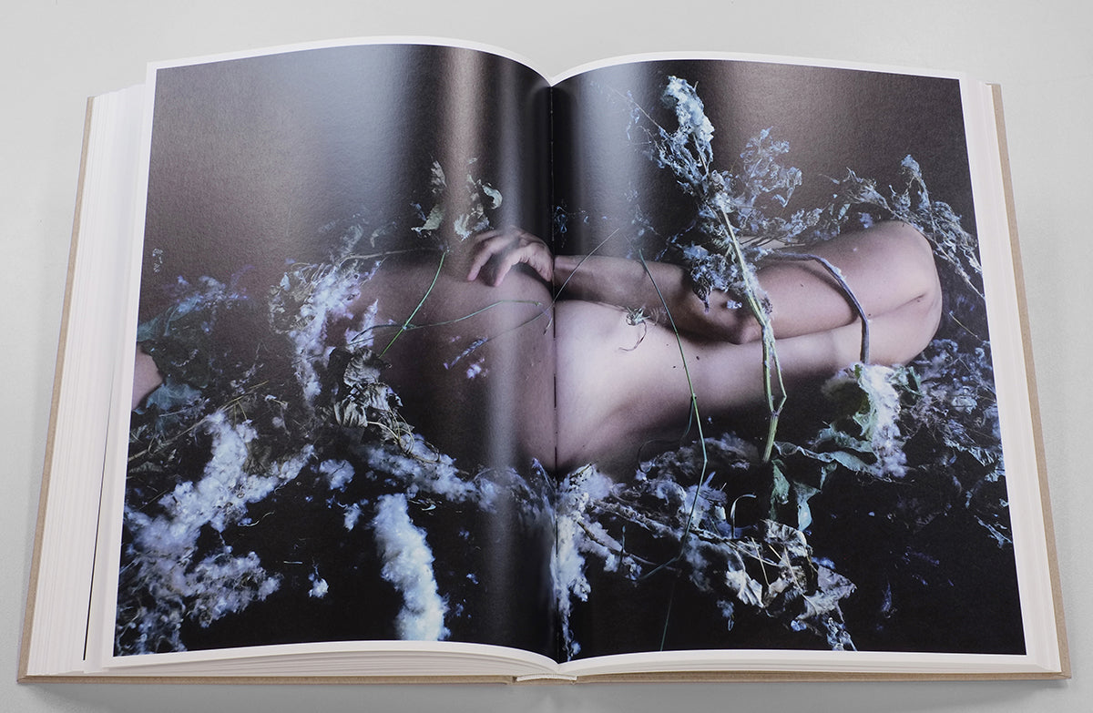 Carla van de Puttelaar — Adornments