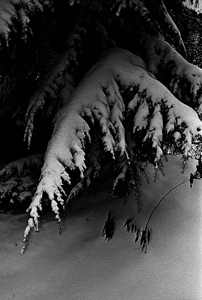 Daido Moriyama — 1965~