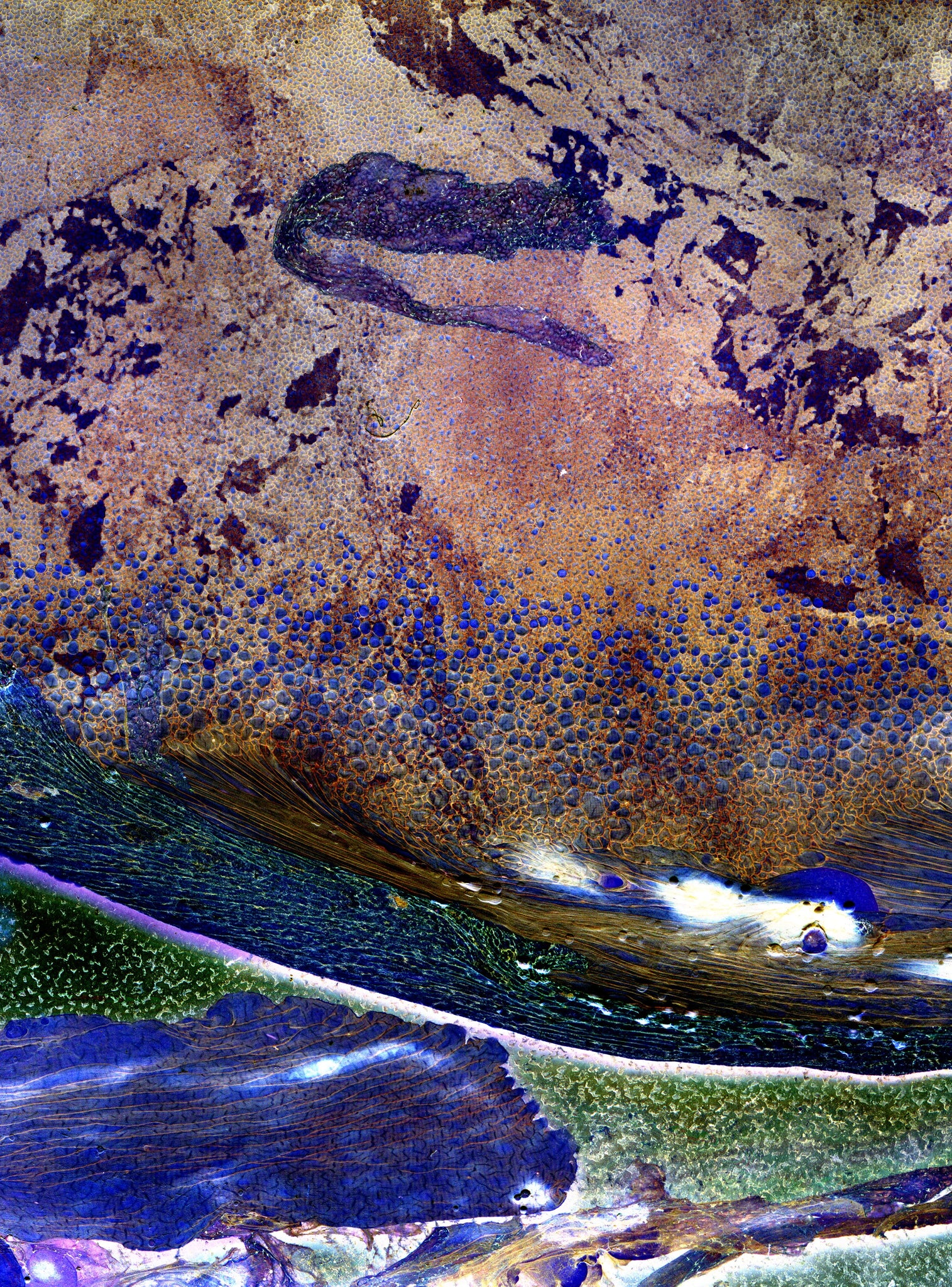 Daisuke Yokota — Matter / Burn Out