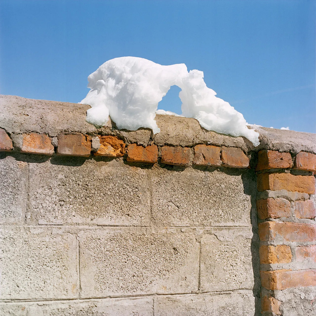 Sohrab Hura — Snow