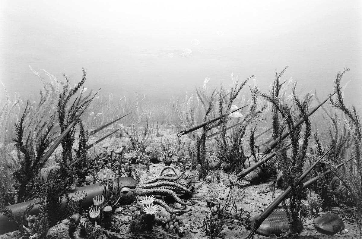 Hiroshi Sugimoto — Dioramas