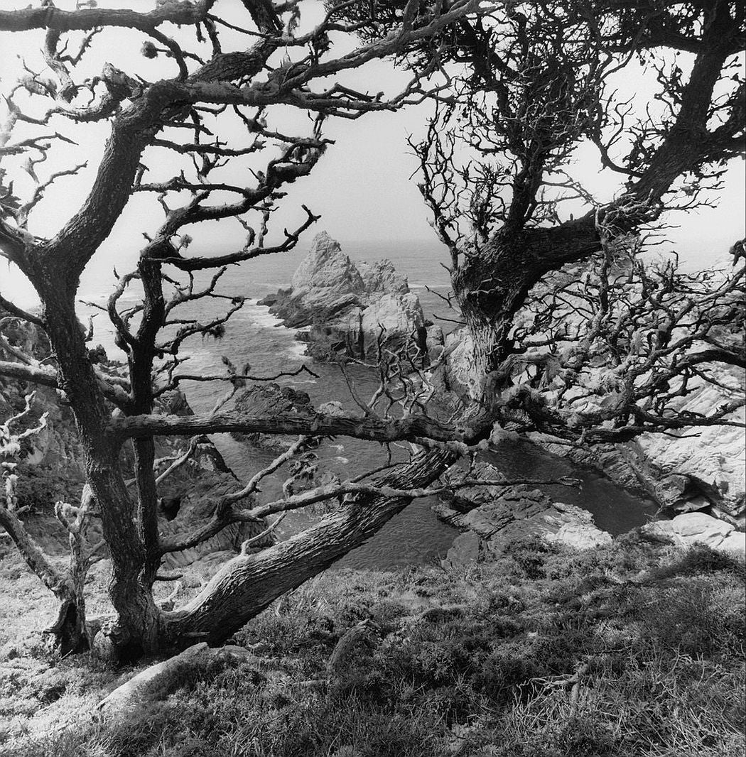 Lee Friedlander — Western Landscapes
