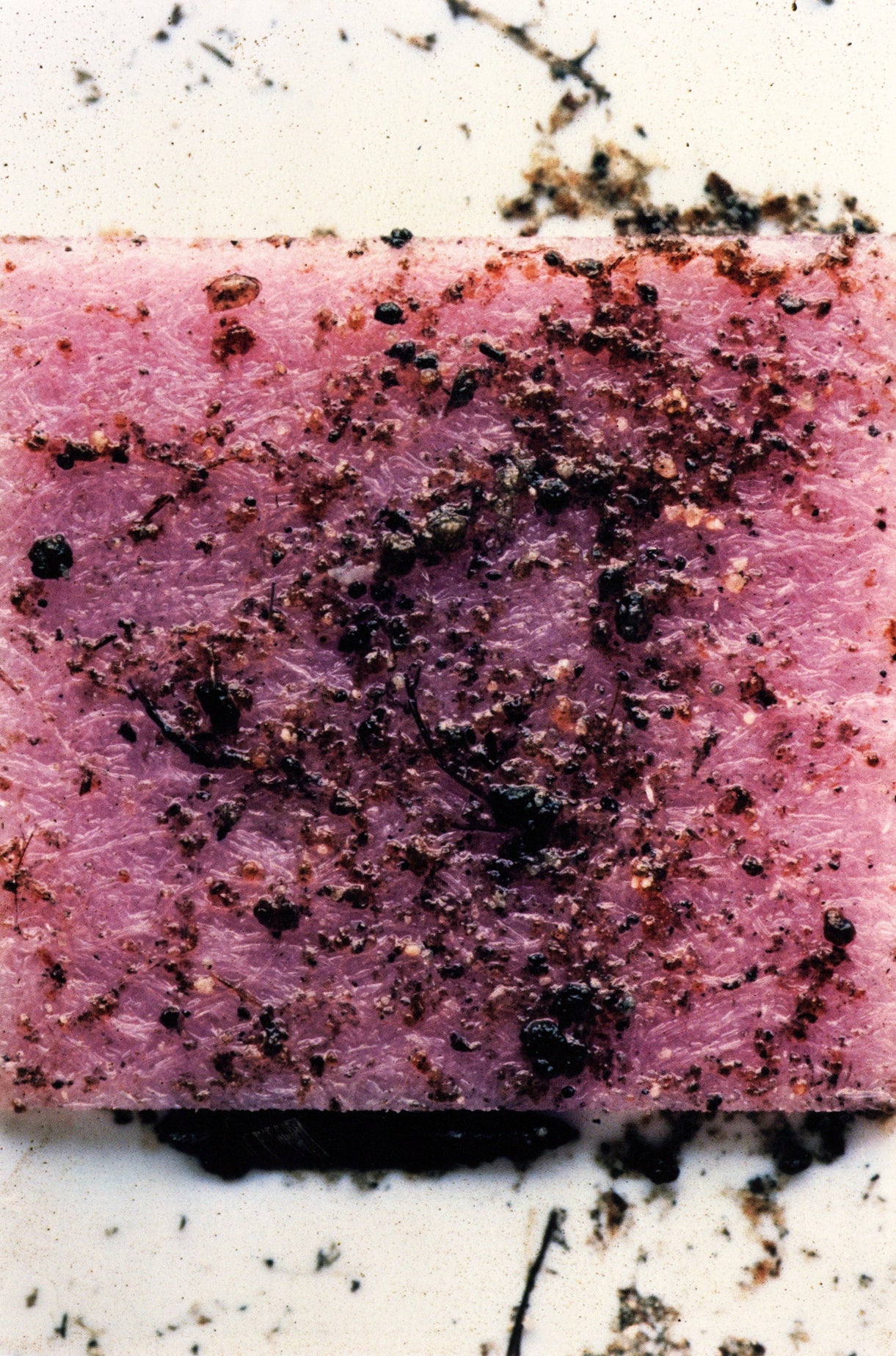Stephen Gill — Coexistence