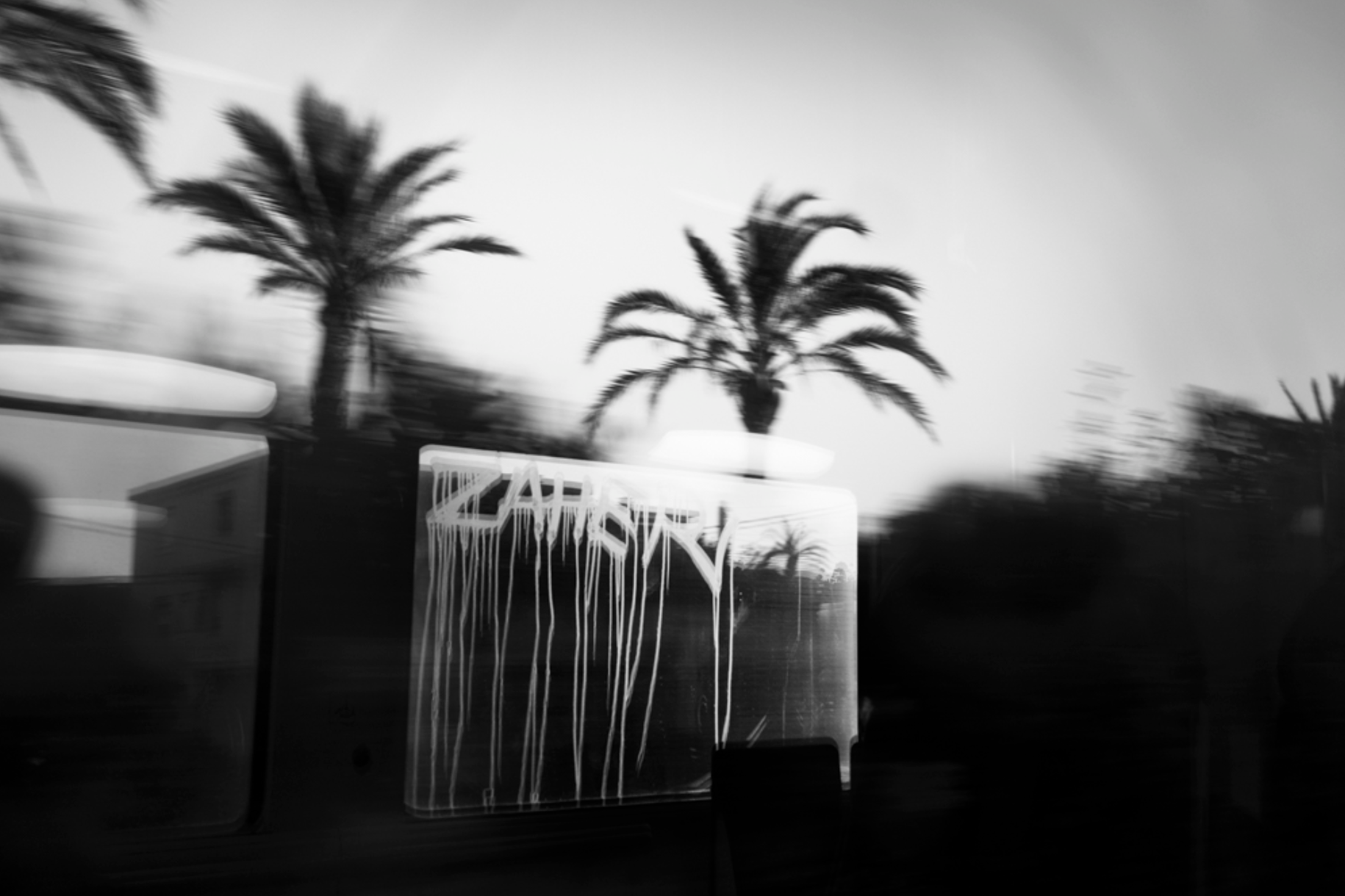 Alison McCauley — Shimmers