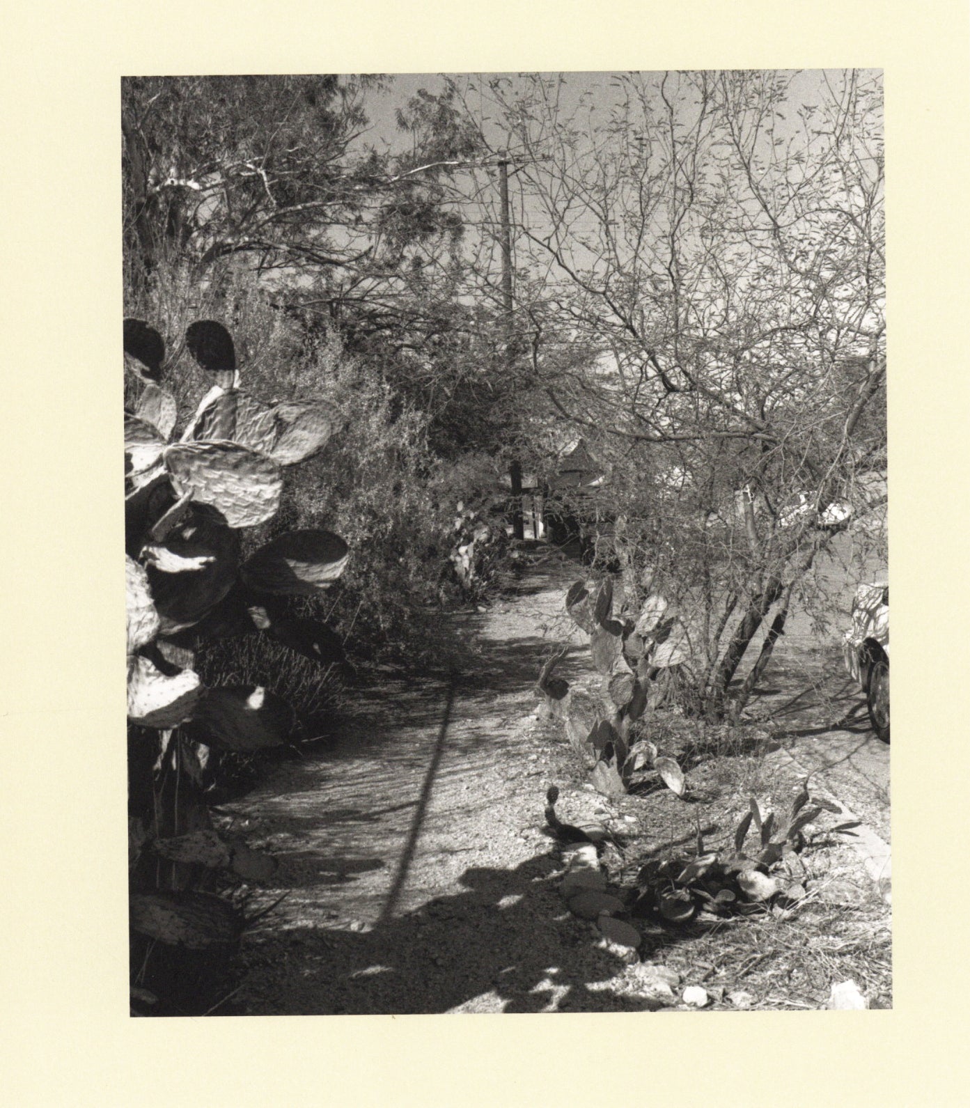 John Gossage — A Dozen Failures