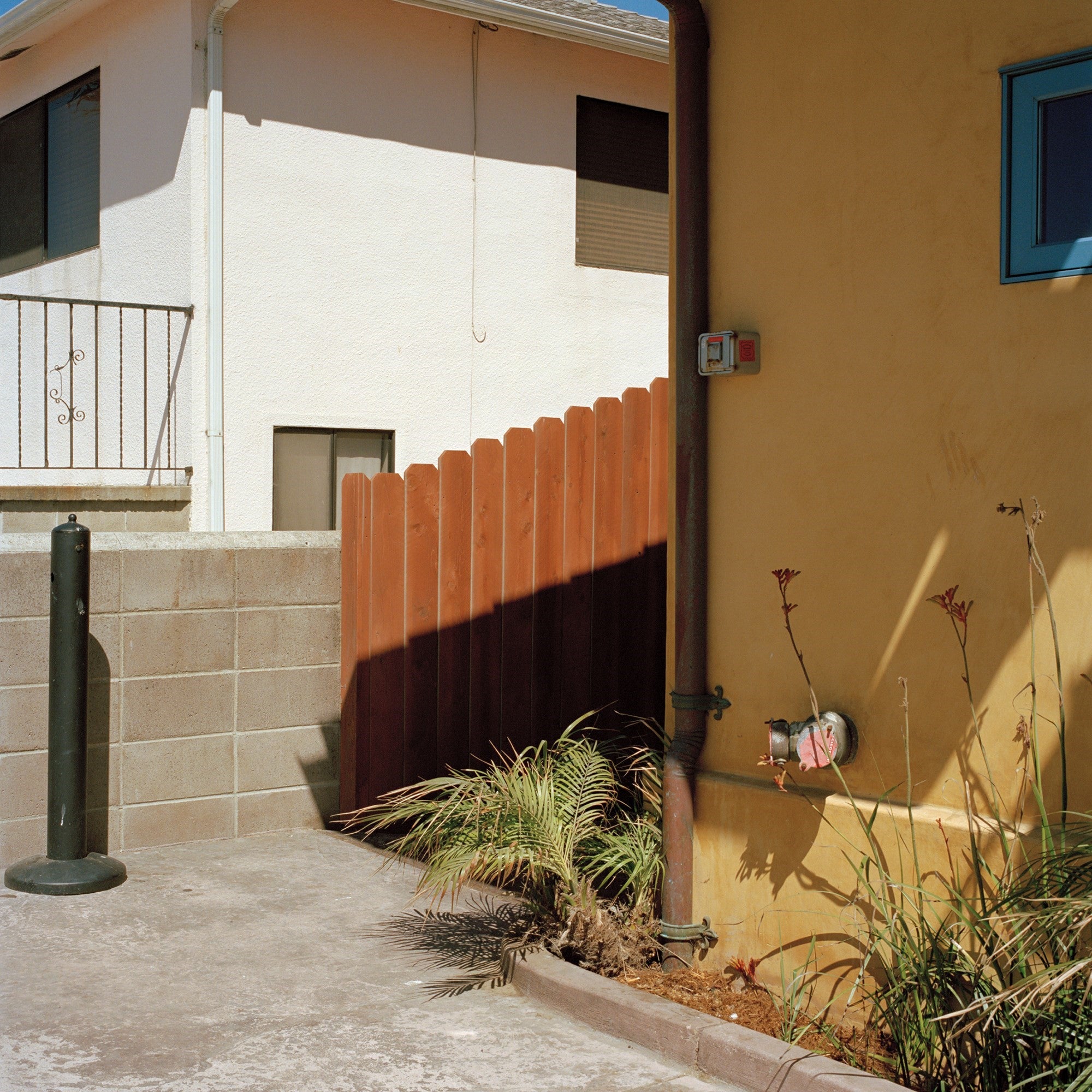 Jason Fulford — Picture Summer on Kodak Film