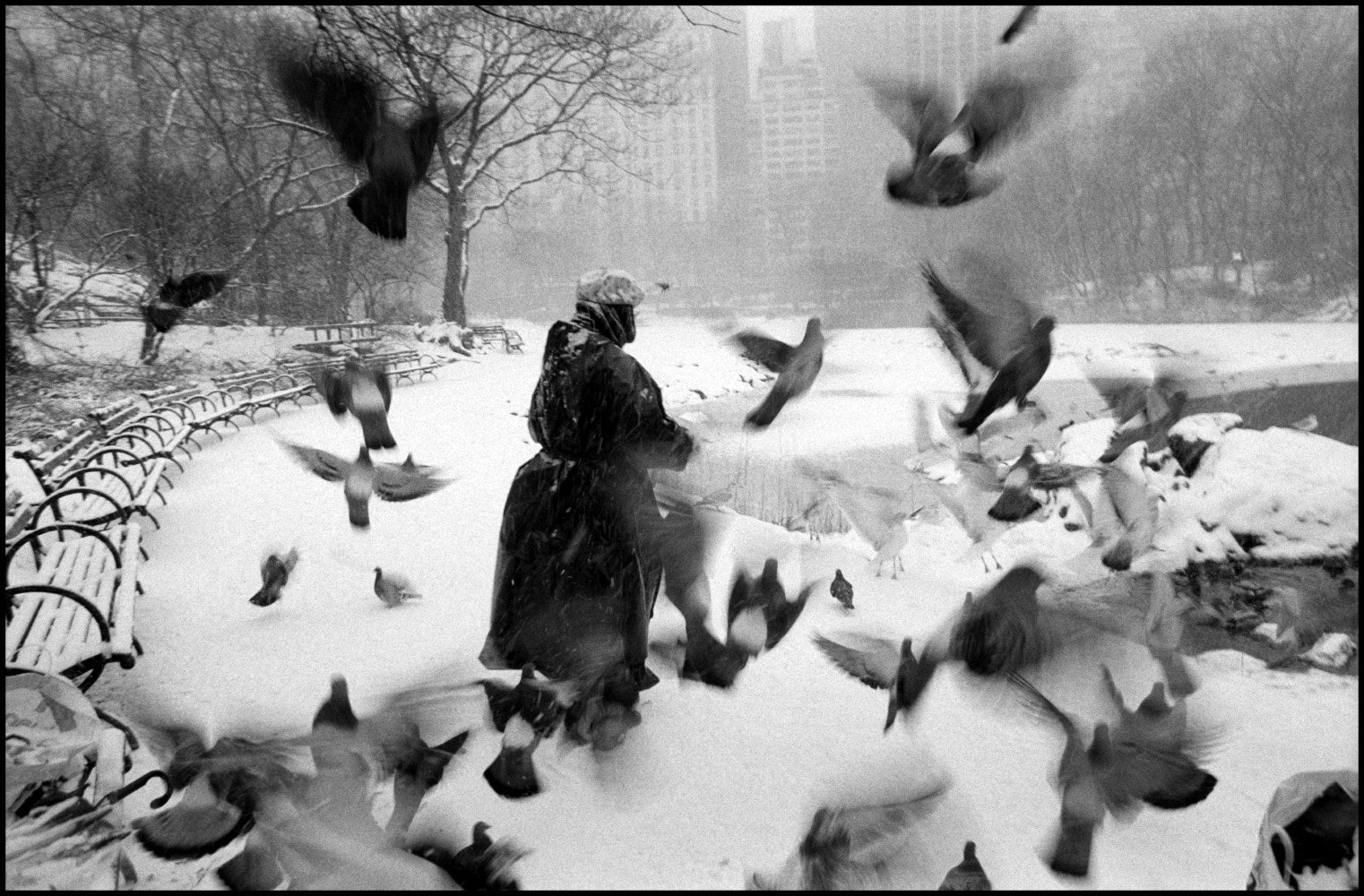 Bruce Davidson — Central Park