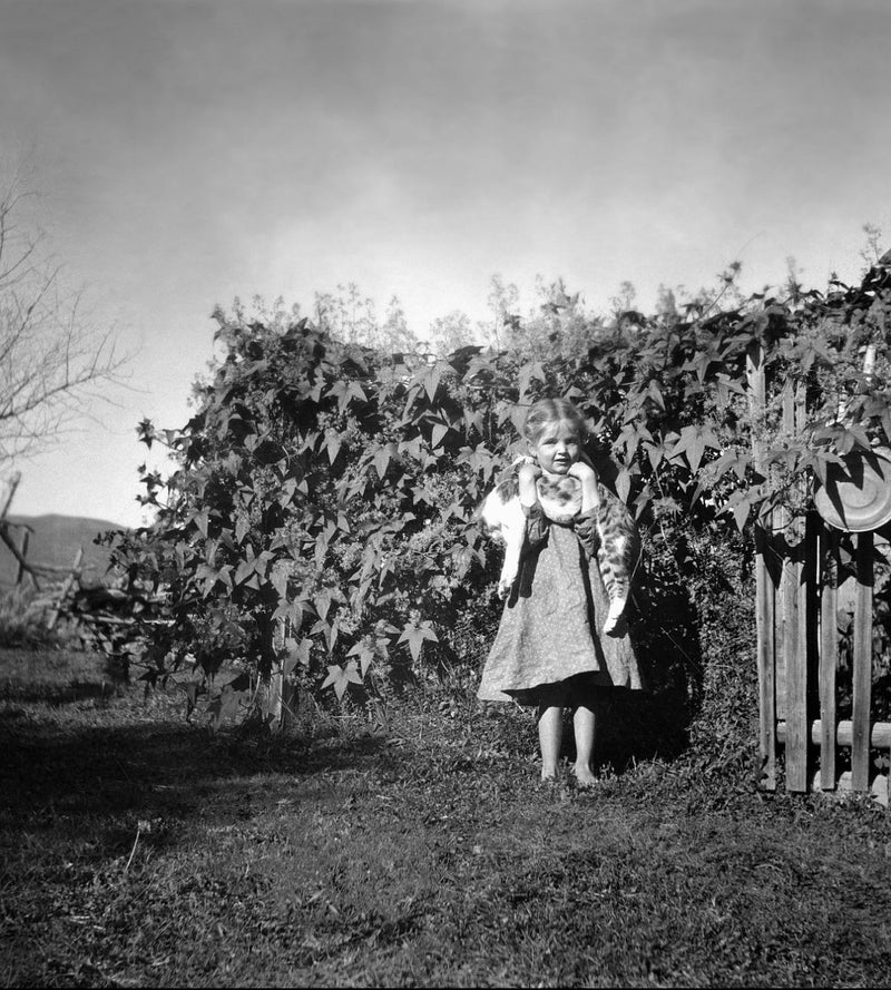 Lora Webb Nichols — Heap-O-Livin'