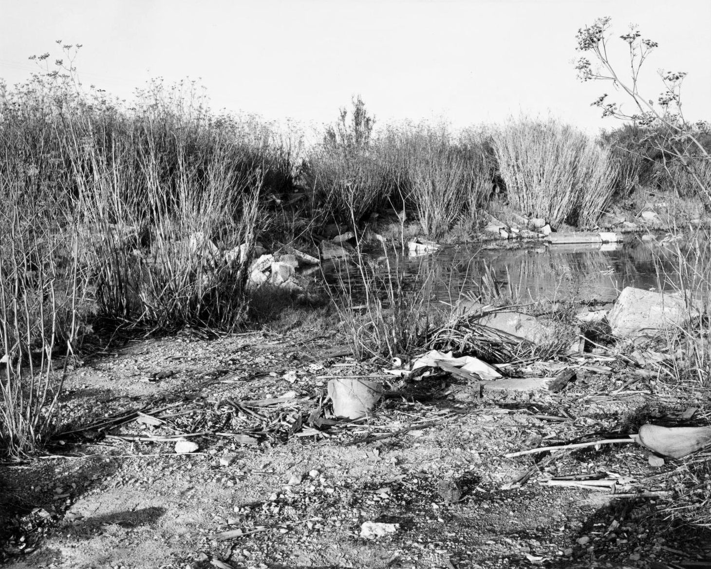 Lewis Baltz