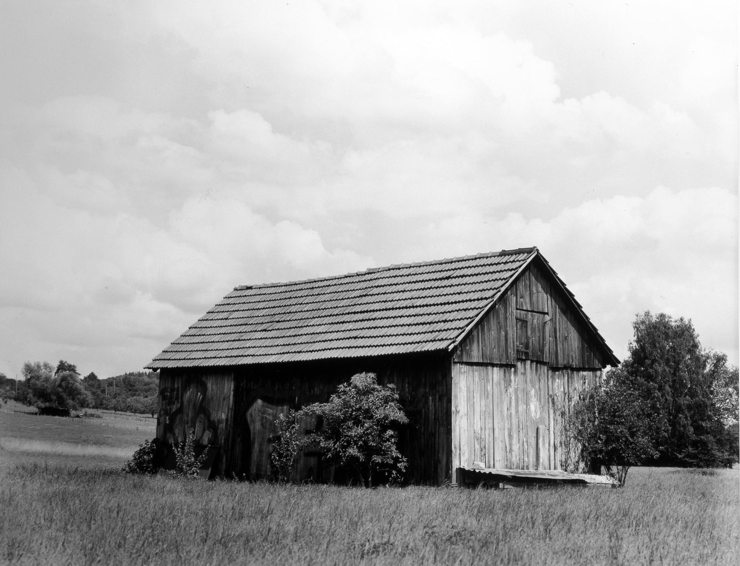 Collier Schorr — Neighbors / Nachbarn