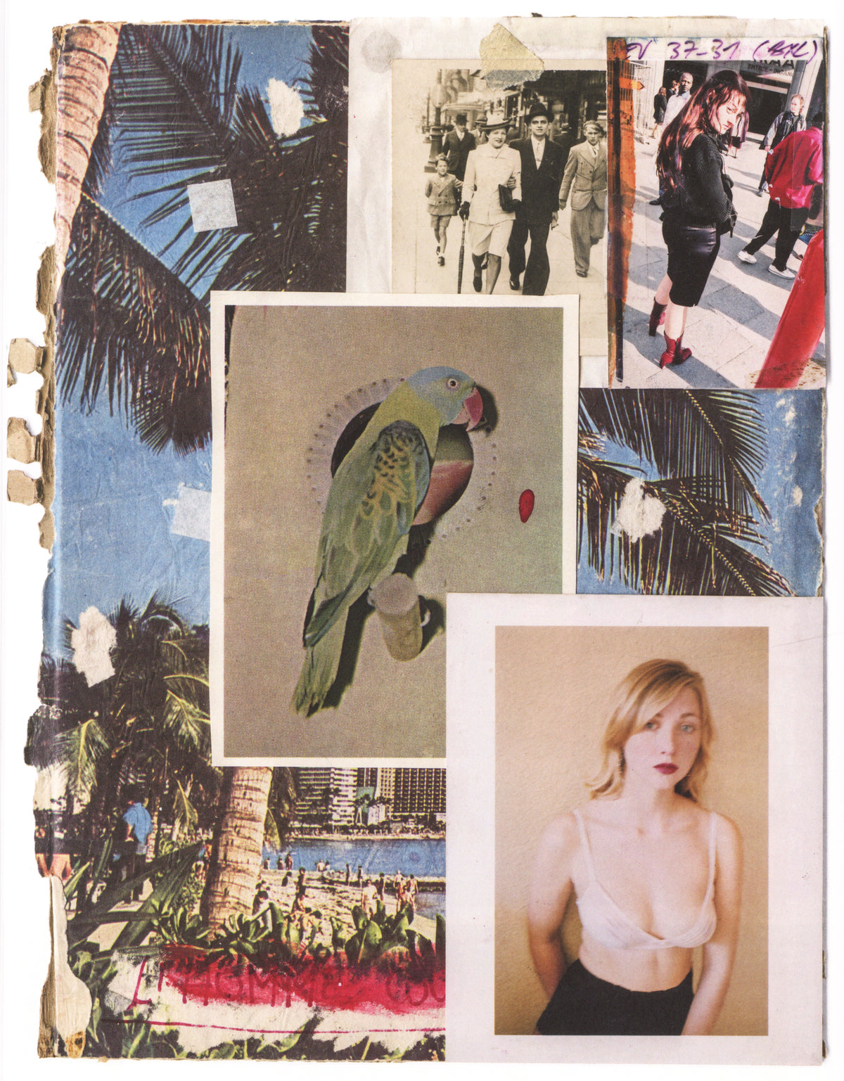 Vincent Delbrouck — Sharon Stone, La Vie des Animaux - Vol.1