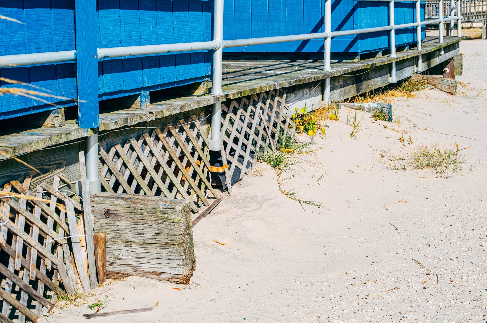 Nikita Teryoshin — Backyard Diaries Vol. 3: Atlantic City