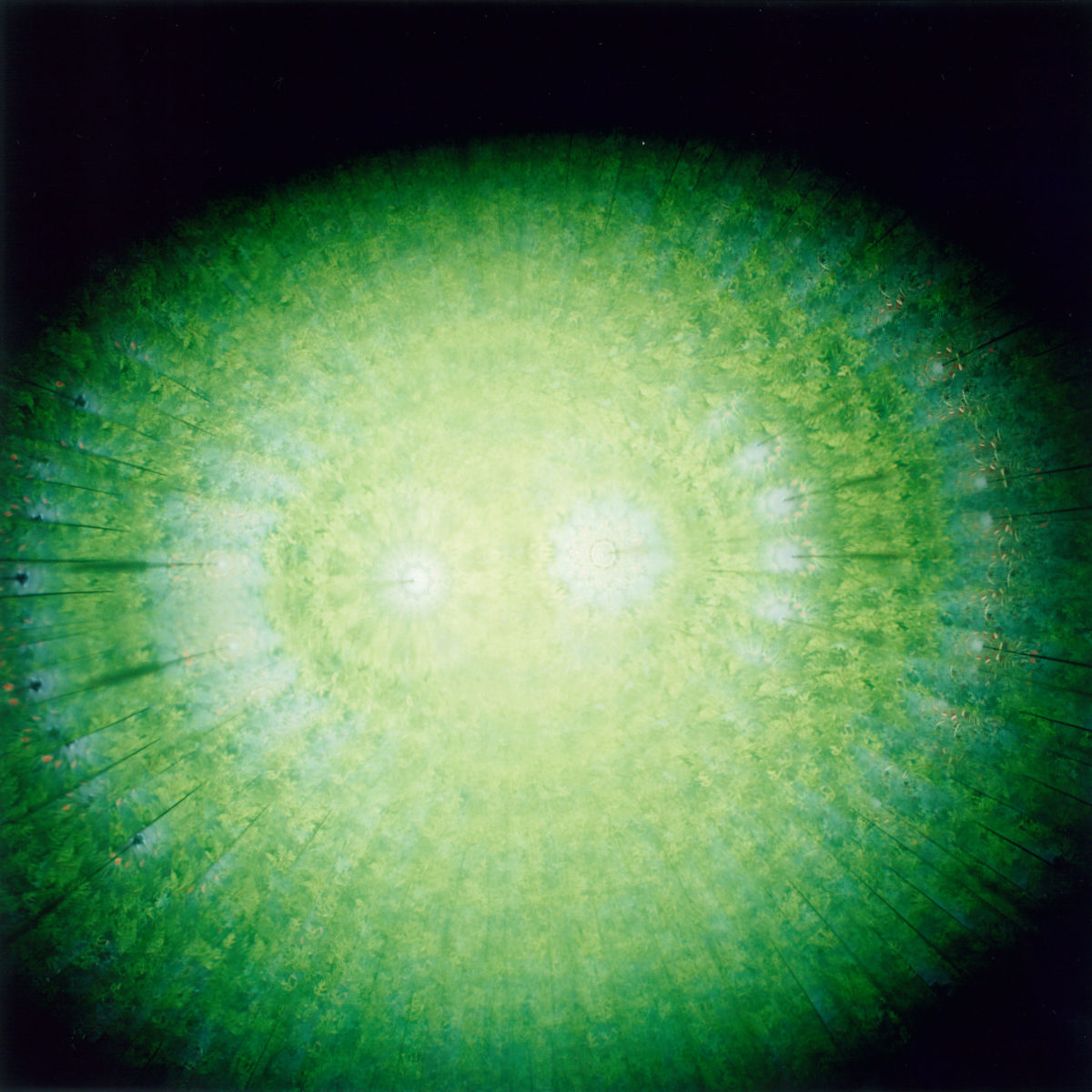 Rinko Kawauchi — The Eyes, The Ears