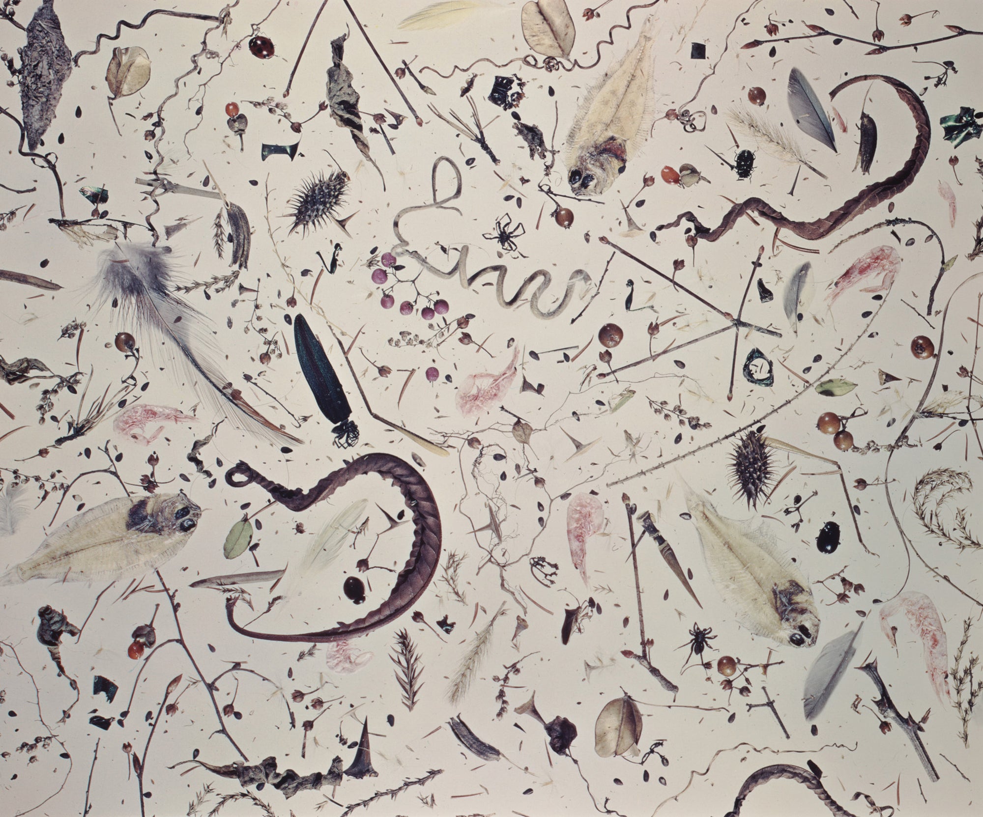 Shomei Tomatsu — Traces—50 years of Tomatsu's Works
