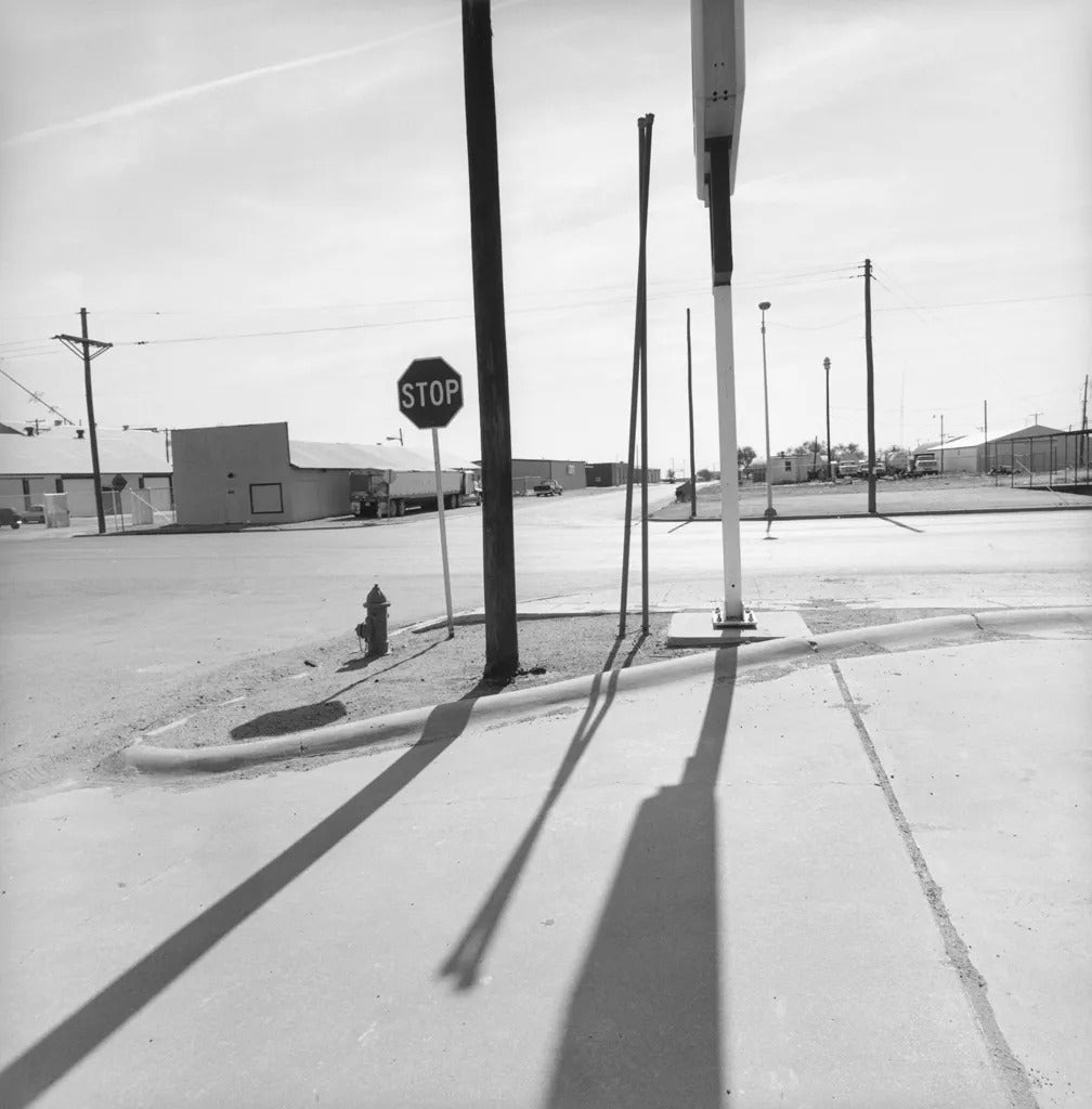 Lee Friedlander — Sticks & Stones