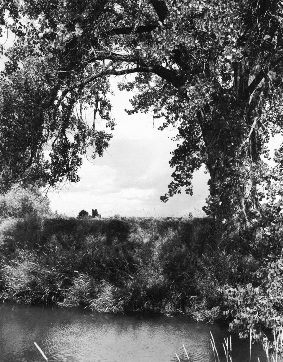Robert Adams — What Can We Believe Here?