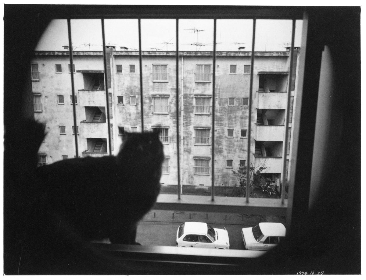 Masahisa Fukase — Wonderful Days