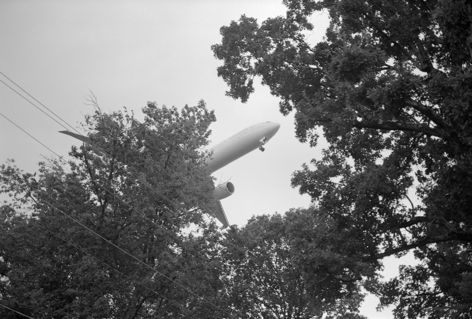 Mark Steinmetz — ATL