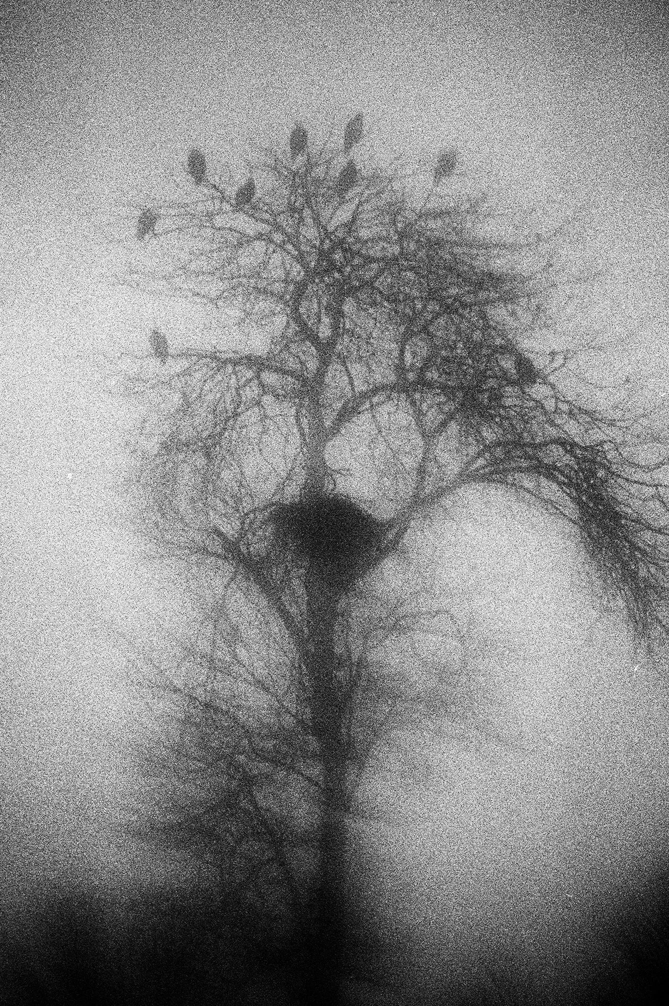 Marshall To — Blank Notes