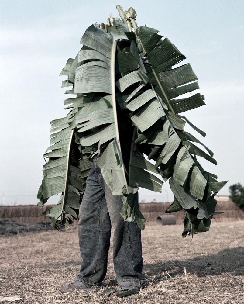 Jackie Nickerson — Terrain