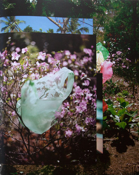 Elspeth Diederix — Things – As They Are